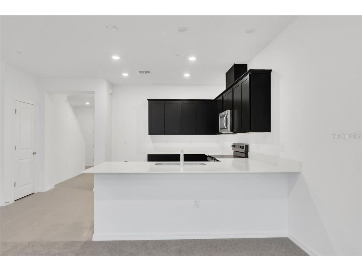 4621 Orchard View Alley Clermont FL 34714 O6360155 image9