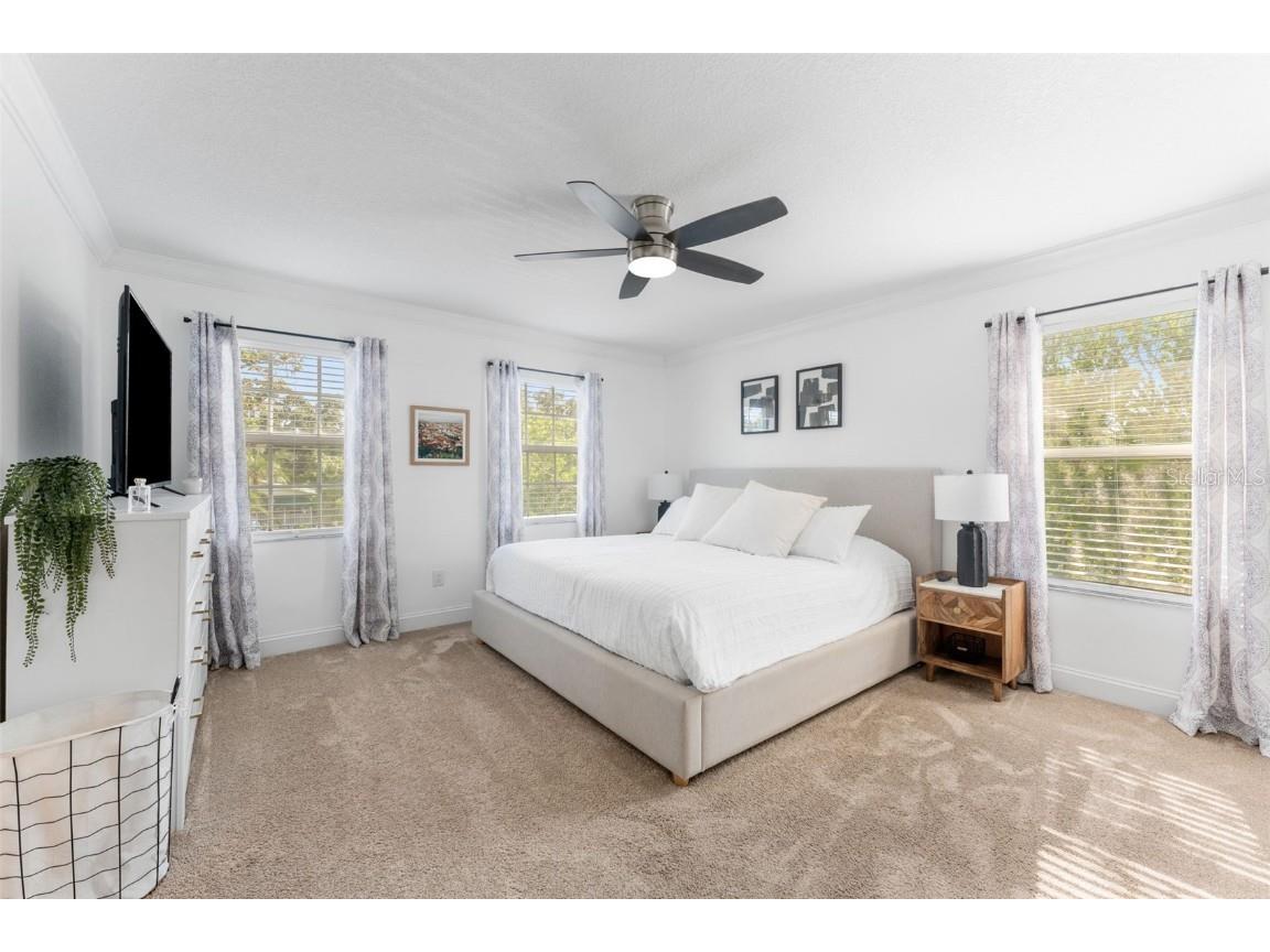 4621 W Pearl Avenue Tampa FL 33611 TB8424949 image18