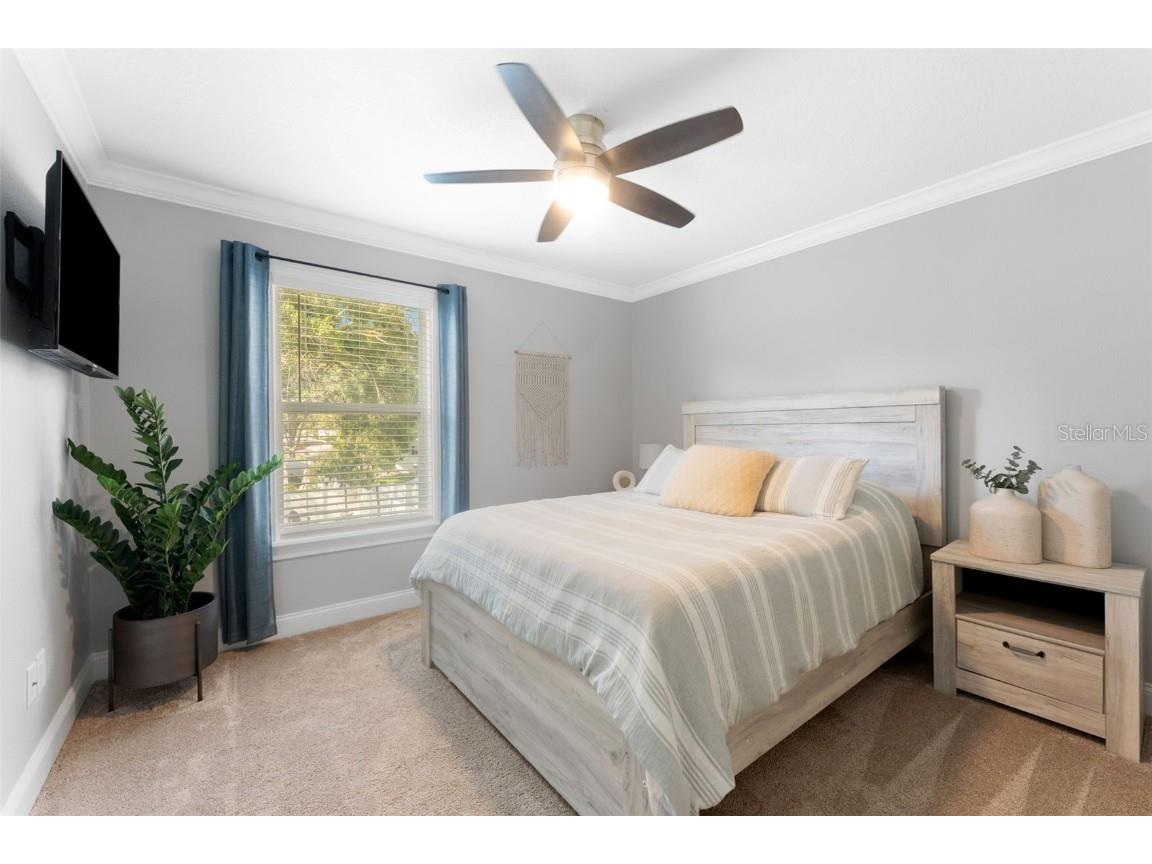 4621 W Pearl Avenue Tampa FL 33611 TB8424949 image22