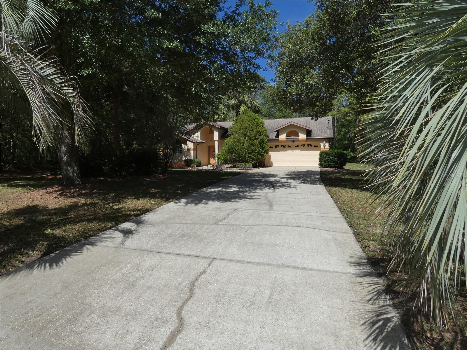4622 N Pink Poppy Drive Beverly Hills FL 34465 OM703767 image2