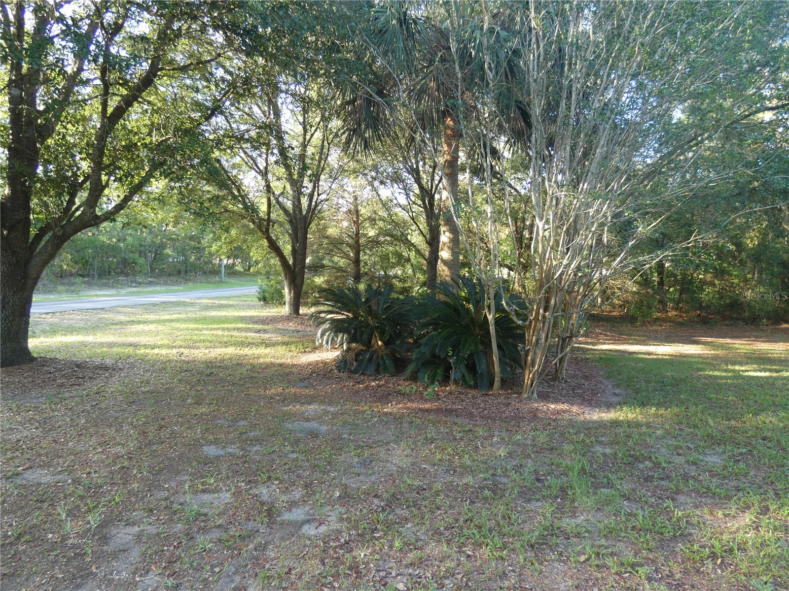 4622 N Pink Poppy Drive Beverly Hills FL 34465 OM703767 image4