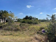 4623 7th Street W Lehigh Acres FL 33971 T3503312 image1