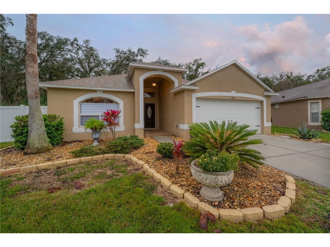 4623 Barchetta Drive Land O Lakes FL 34639 T3498418 image1