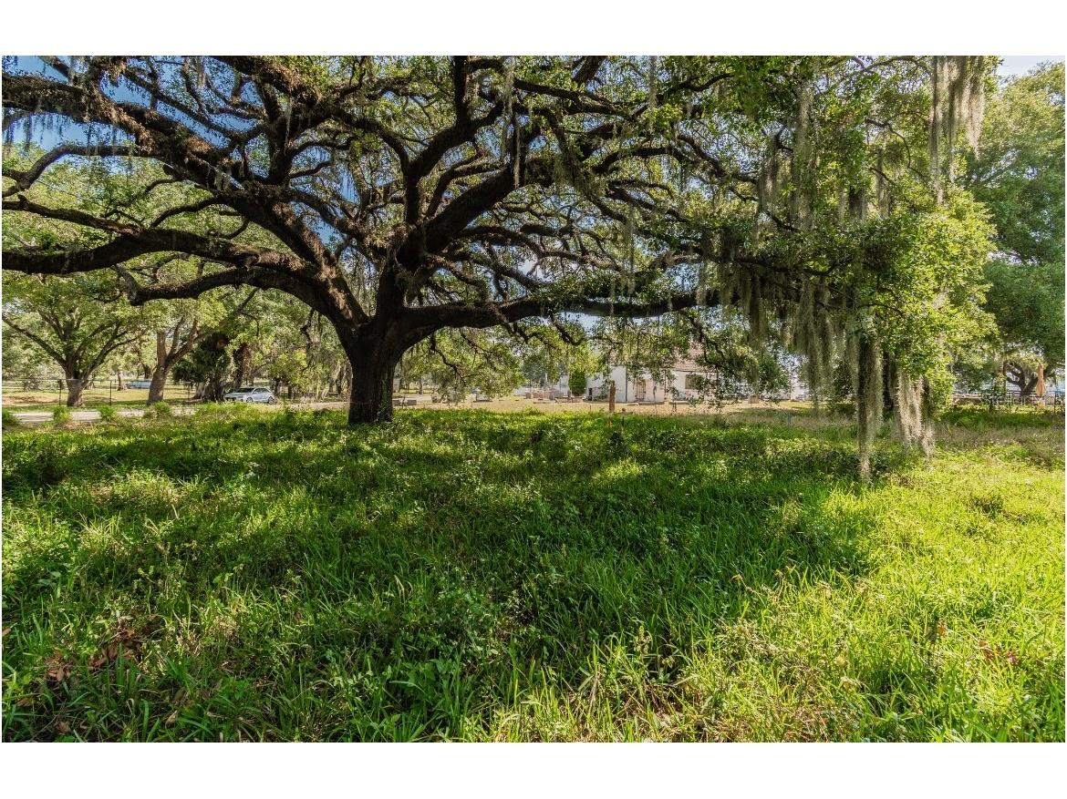 4623 E Lake Avenue Tampa FL 33610 T3367037 image6