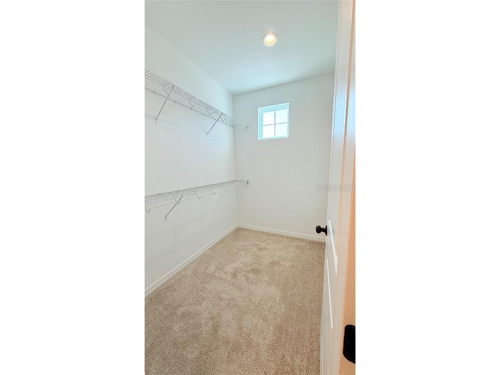 4623 Reisswood Loop Palmetto FL 34221 A4667583 image43