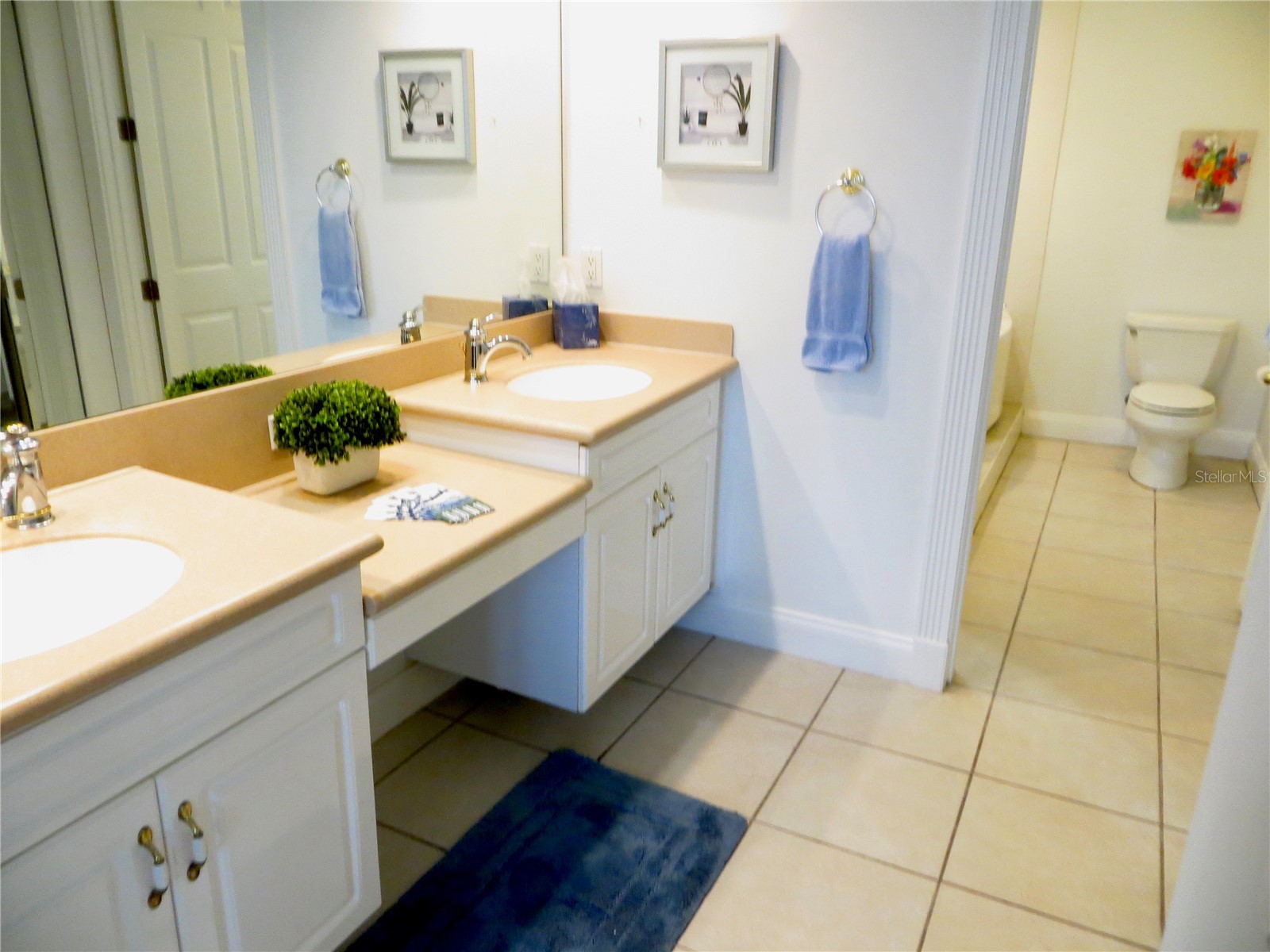 4623 Rivers Edge Village Lane #6308 Ponce Inlet FL 32127 O6374862 image11