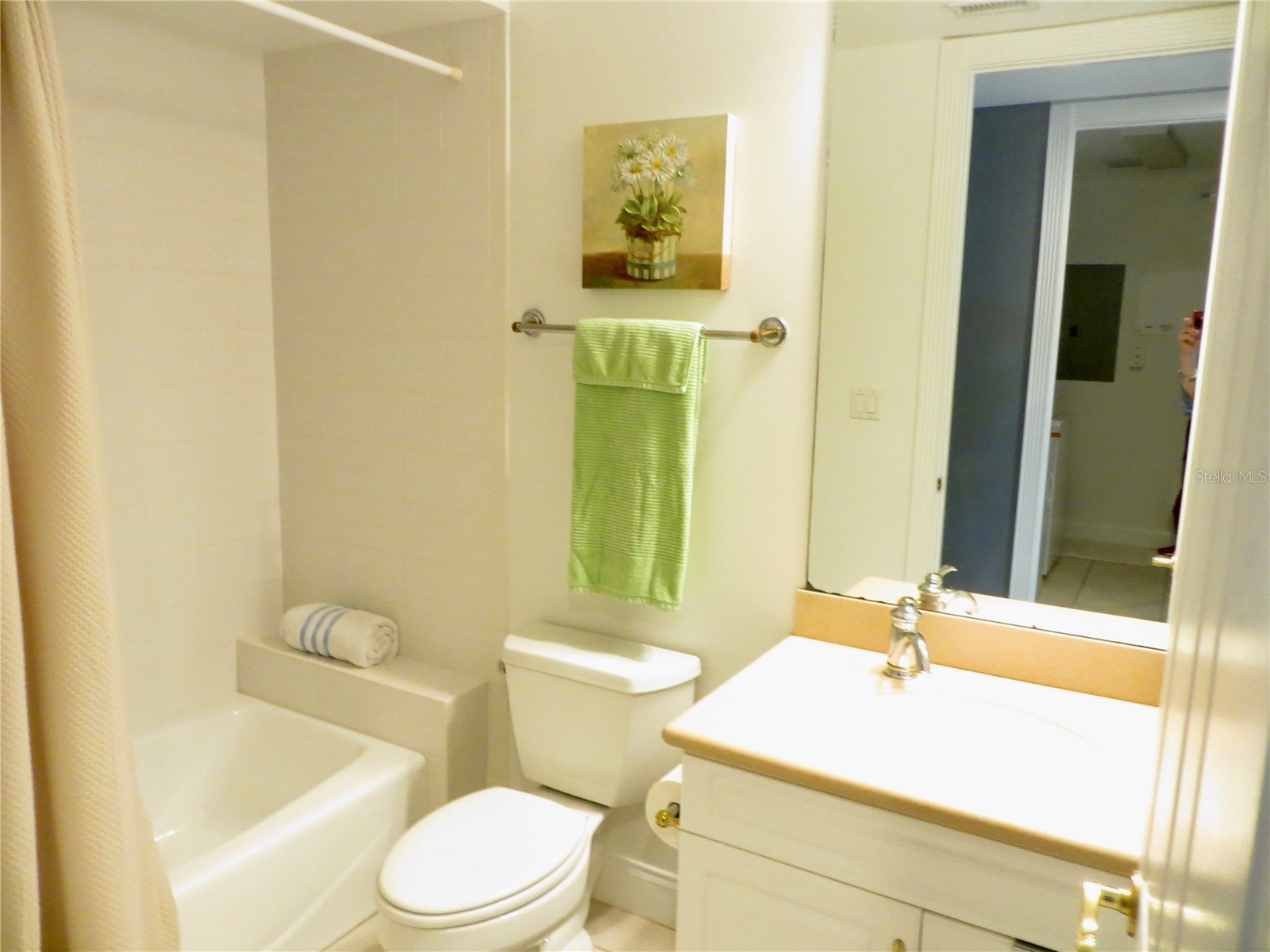 4623 Rivers Edge Village Lane #6308 Ponce Inlet FL 32127 O6374862 image16