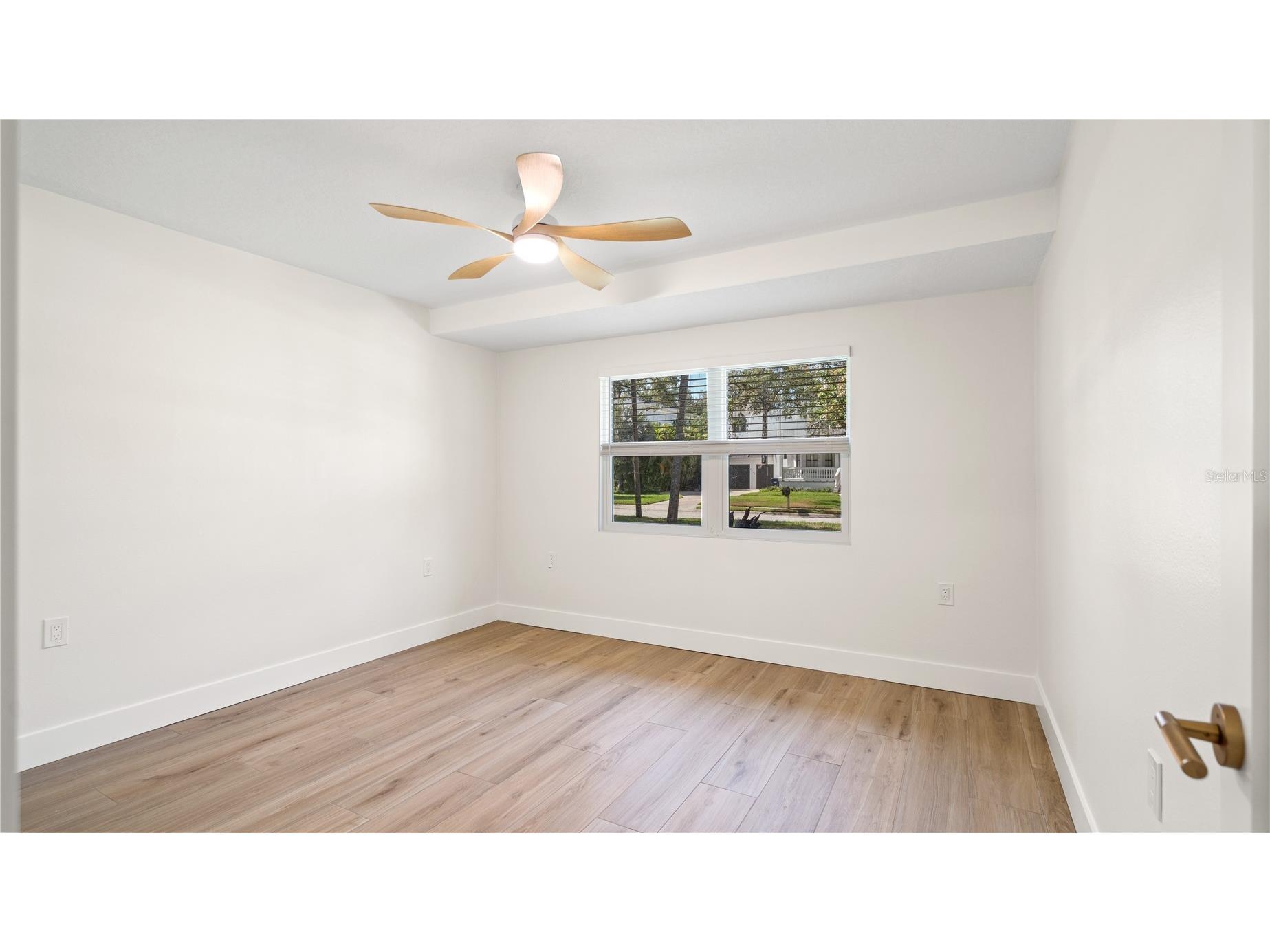 4623 W Browning Avenue Tampa FL 33629 TB8525250 image34