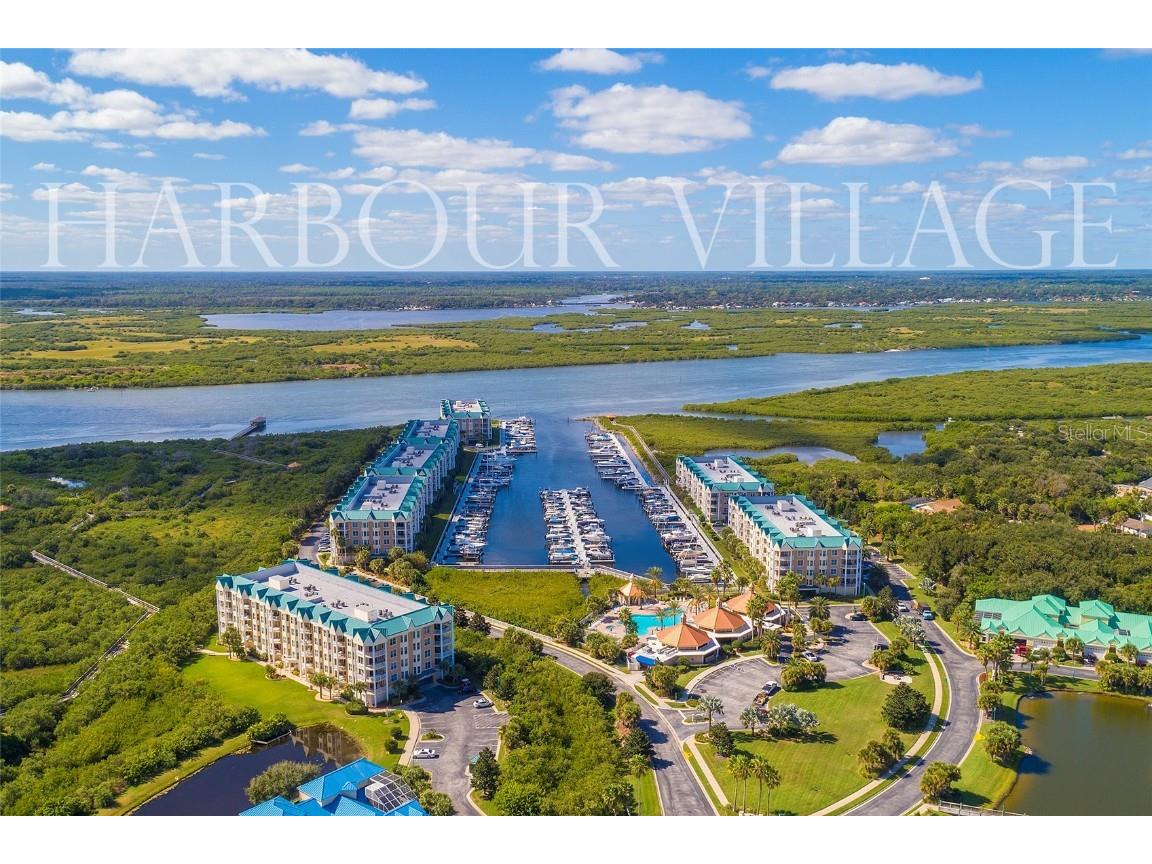4624 Harbour Village Boulevard #4204 Ponce Inlet FL 32127 NS1086765 image1