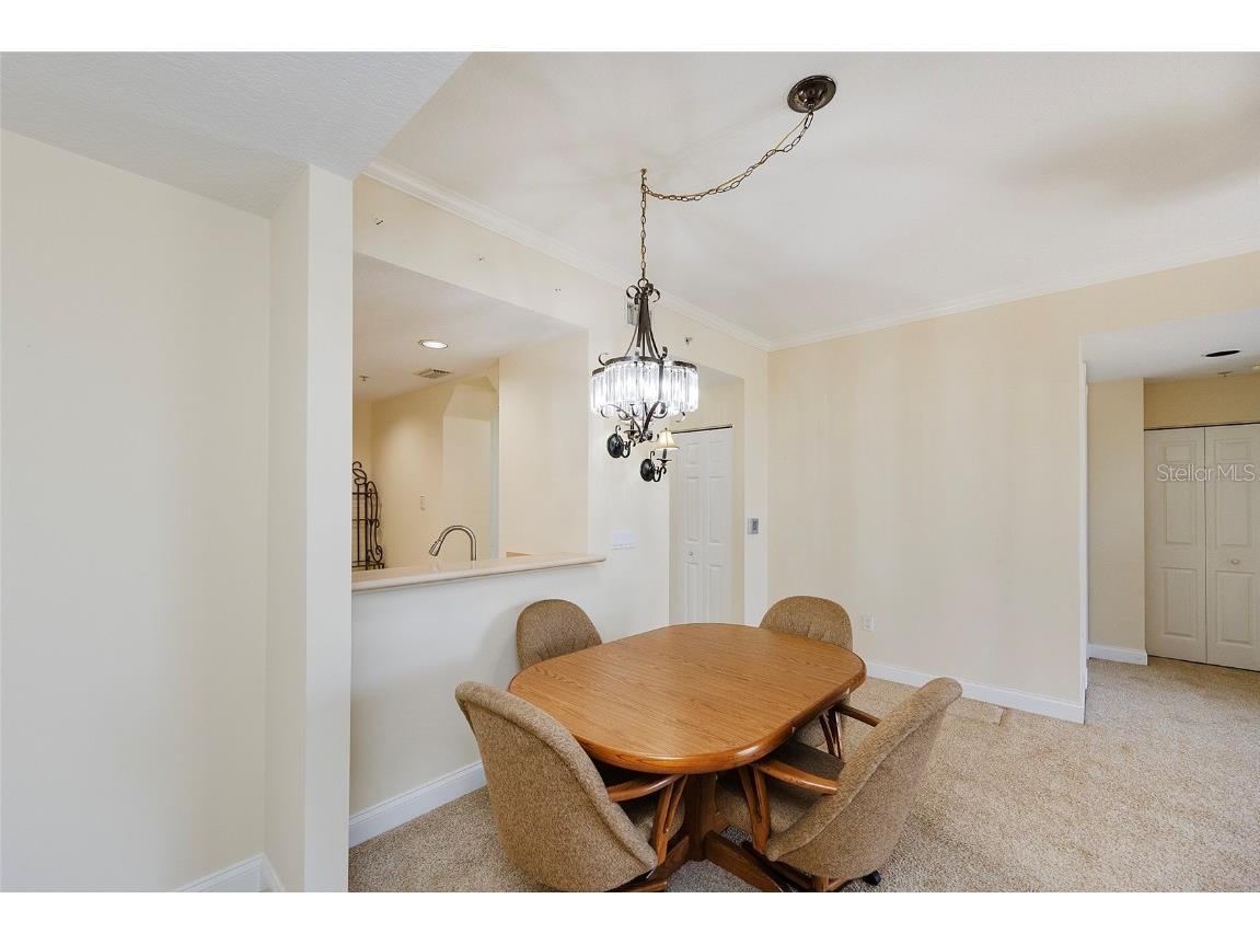 4624 Harbour Village Boulevard #4204 Ponce Inlet FL 32127 NS1086765 image20