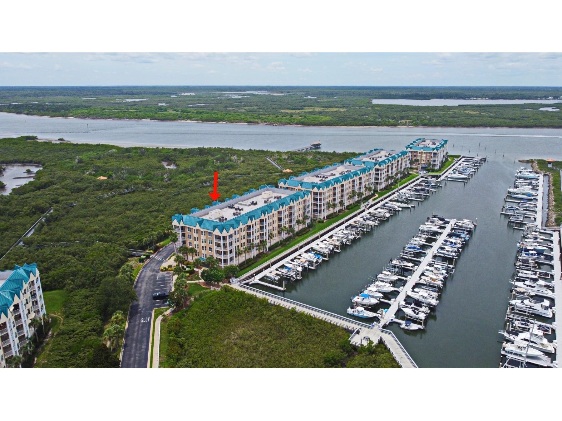 4624 Harbour Village Boulevard #4206 Ponce Inlet FL 32127 O6385969 image1