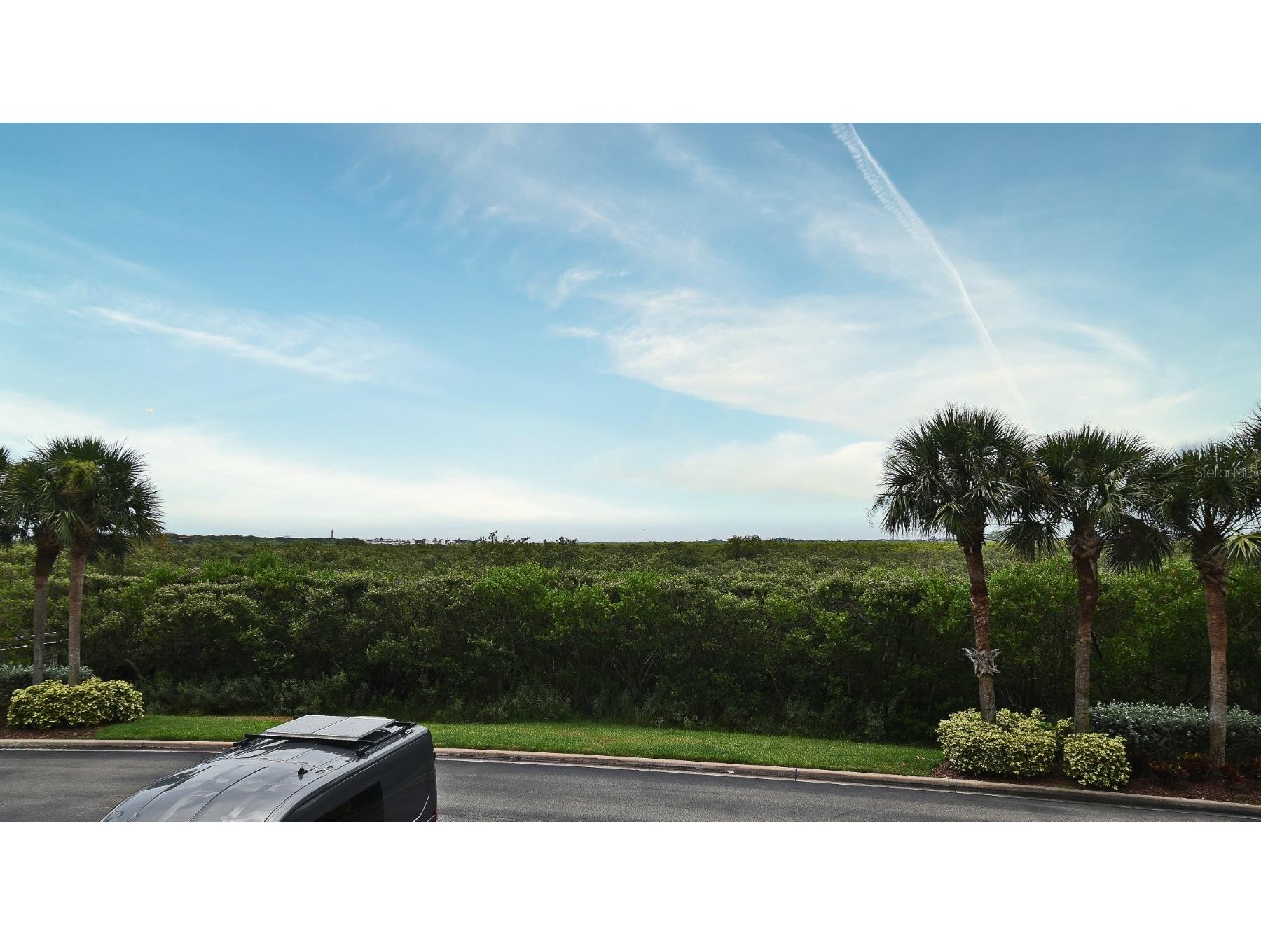 4624 Harbour Village Boulevard #4206 Ponce Inlet FL 32127 O6385969 image16