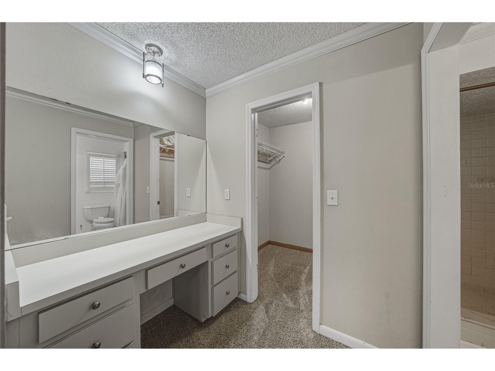 4624 San Paulo Court Lakeland FL 33813 O6379484 image34