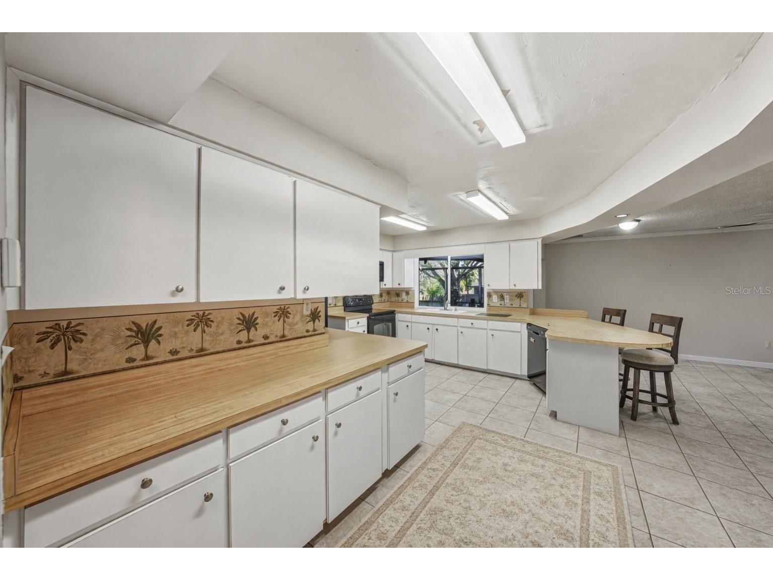 4624 San Paulo Court Lakeland FL 33813 O6379484 image9