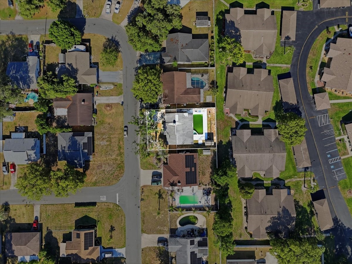4624 Wisteria Drive Zephyrhills FL 33542 TB8511661 image26
