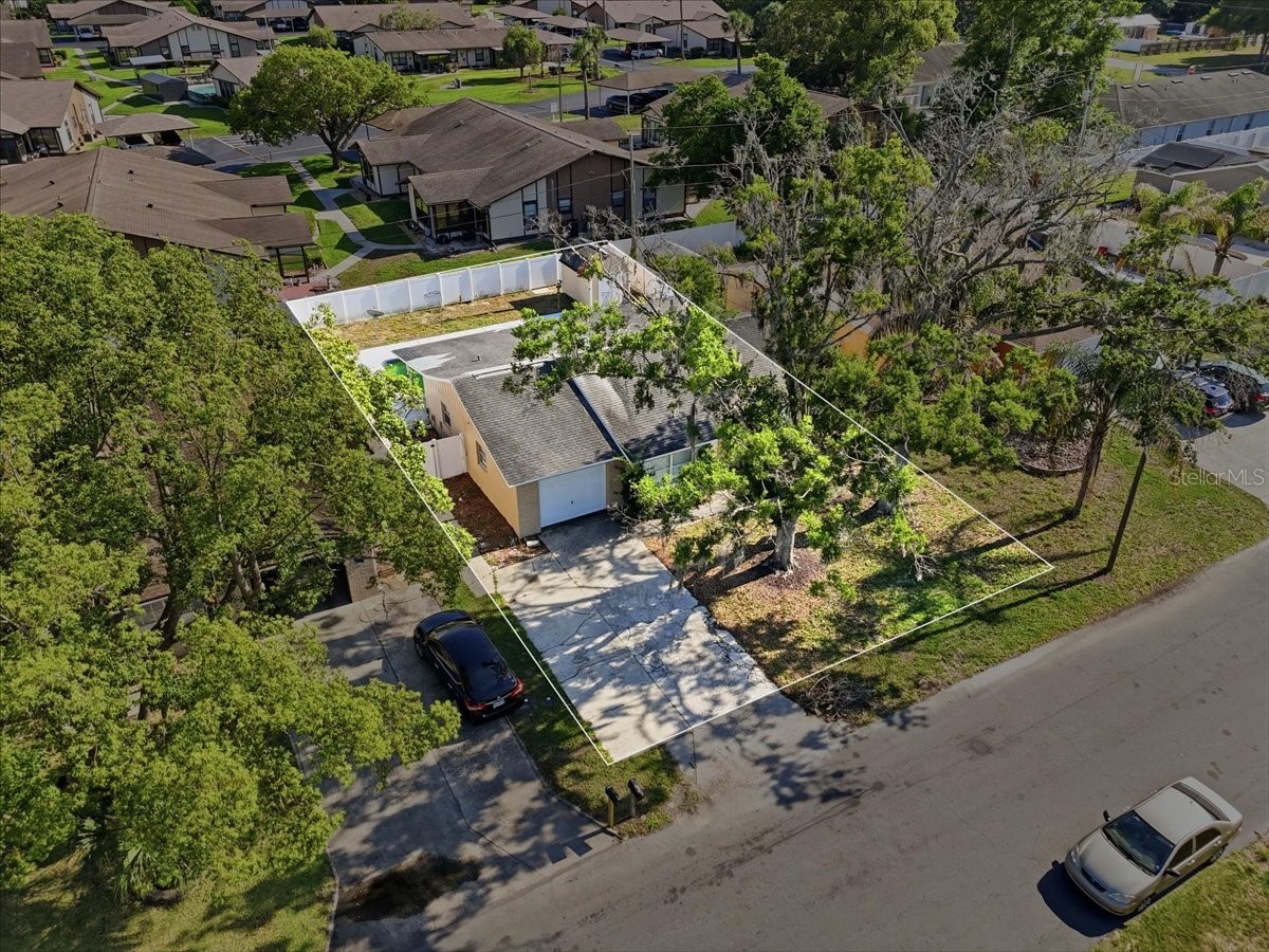 4624 Wisteria Drive Zephyrhills FL 33542 TB8511661 image27