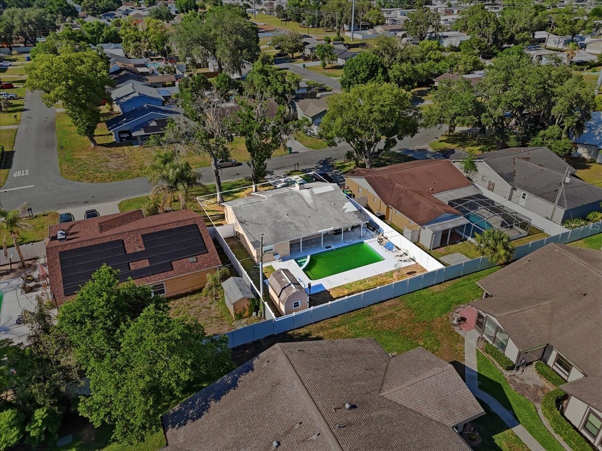 4624 Wisteria Drive Zephyrhills FL 33542 TB8511661 image28