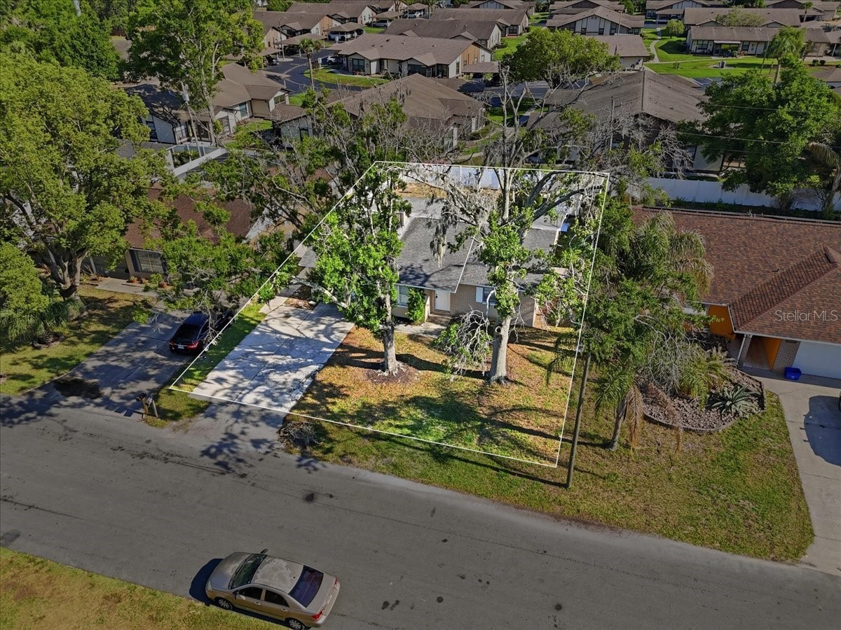 4624 Wisteria Drive Zephyrhills FL 33542 TB8511661 image29