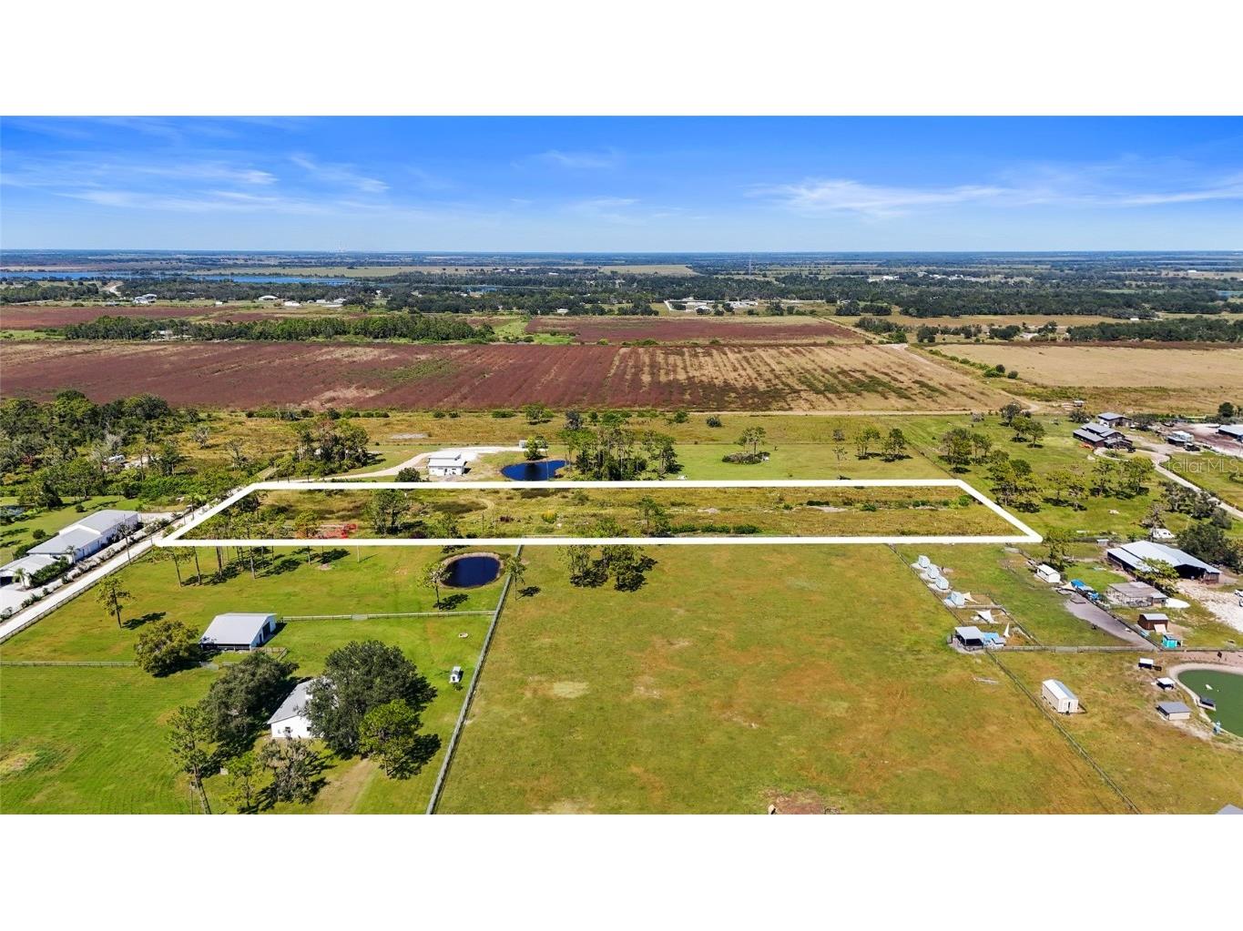 4625 241st Street E Myakka City FL 34251 A4668391 image4