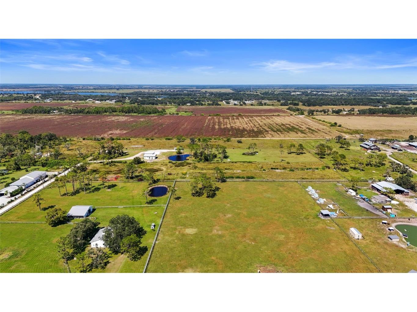 4625 241st Street E Myakka City FL 34251 A4668391 image5