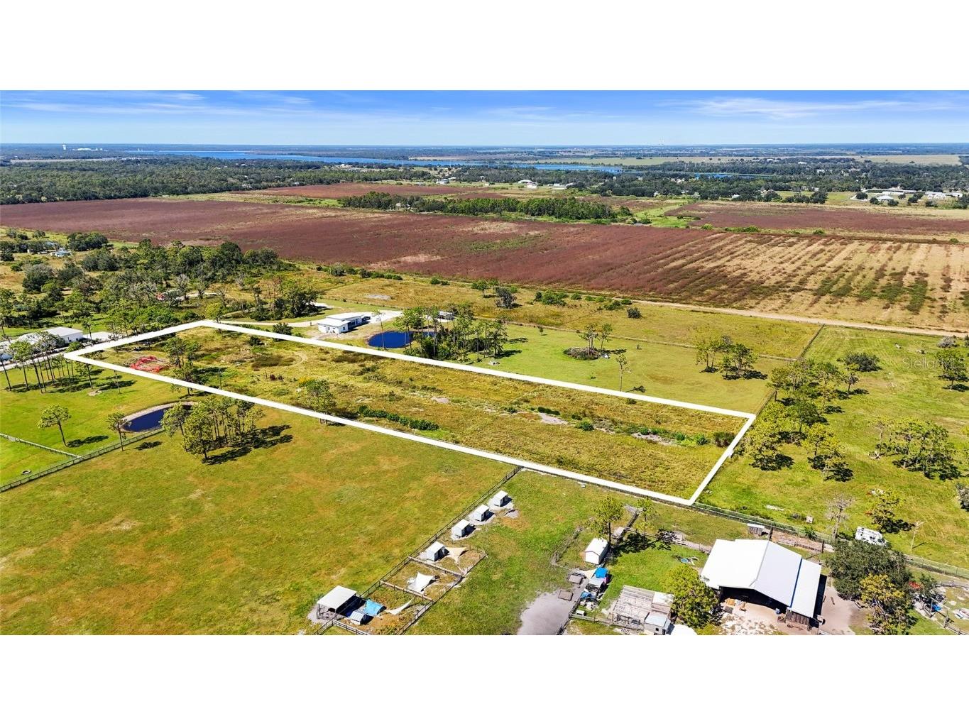 4625 241st Street E Myakka City FL 34251 A4668391 image6