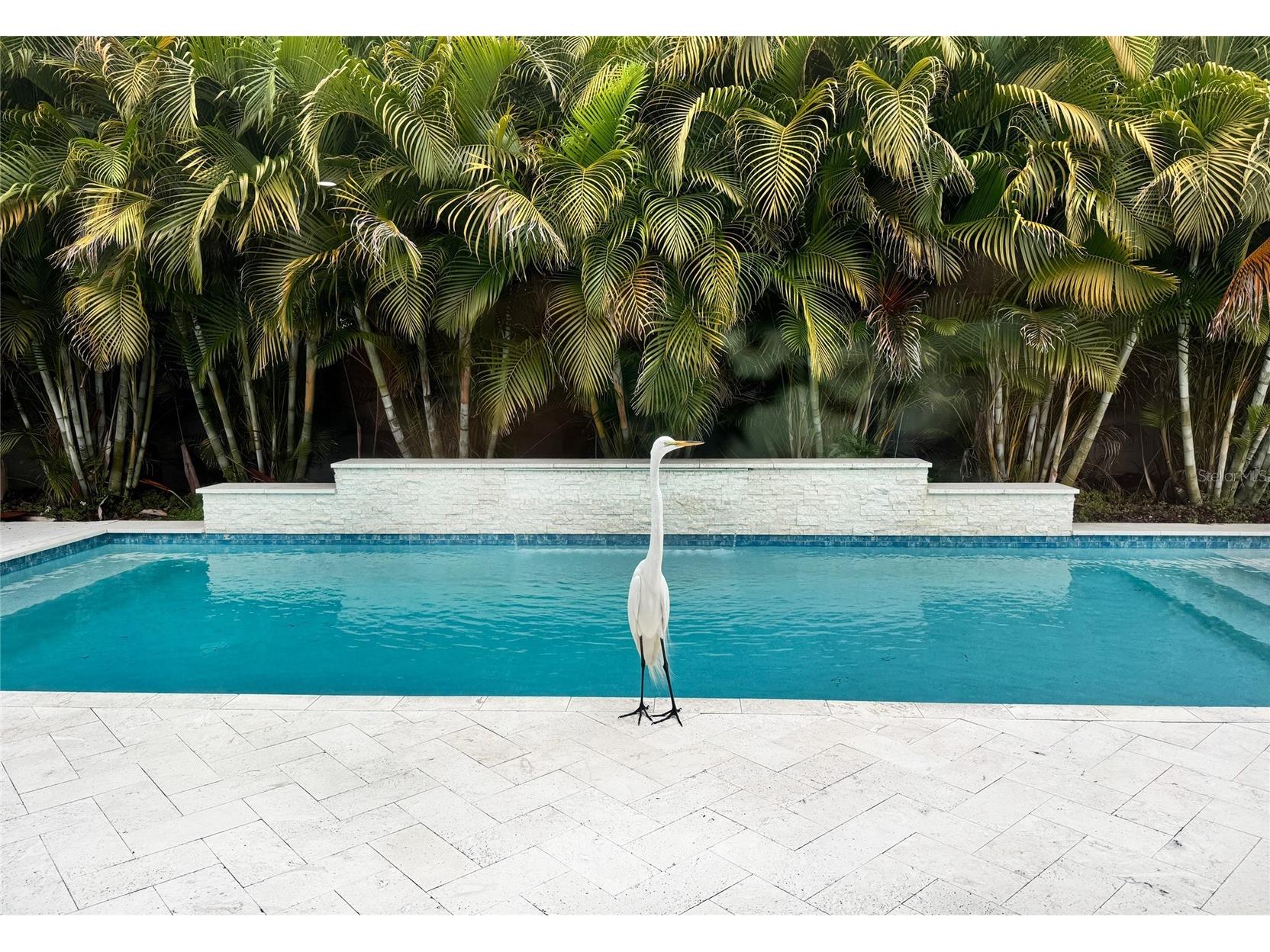 4626 Bayshore Boulevard NE Saint Petersburg FL 33703 TB8496589 image5
