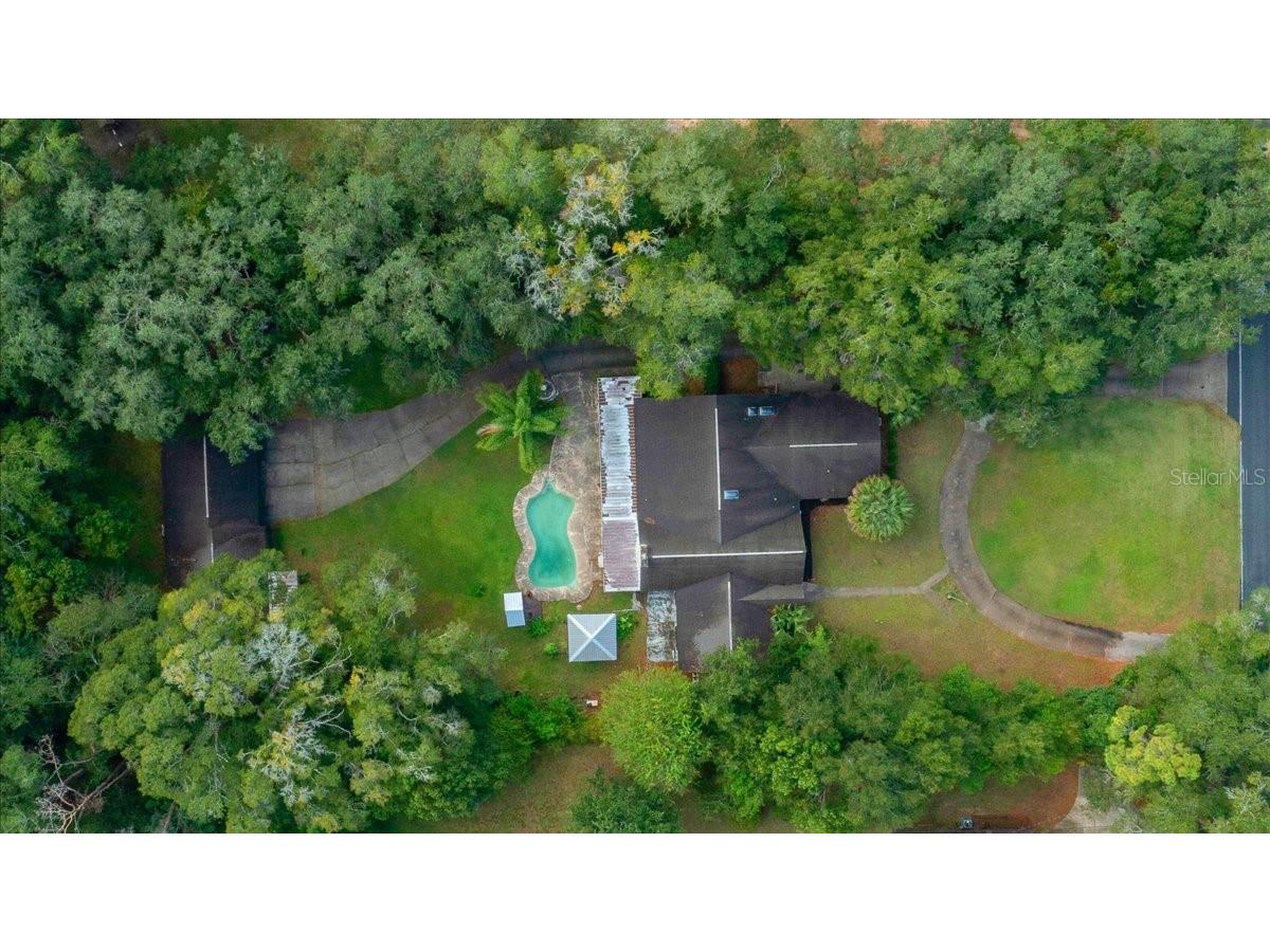 4626 NE 7th Street Ocala FL 34470 OM710972 image42