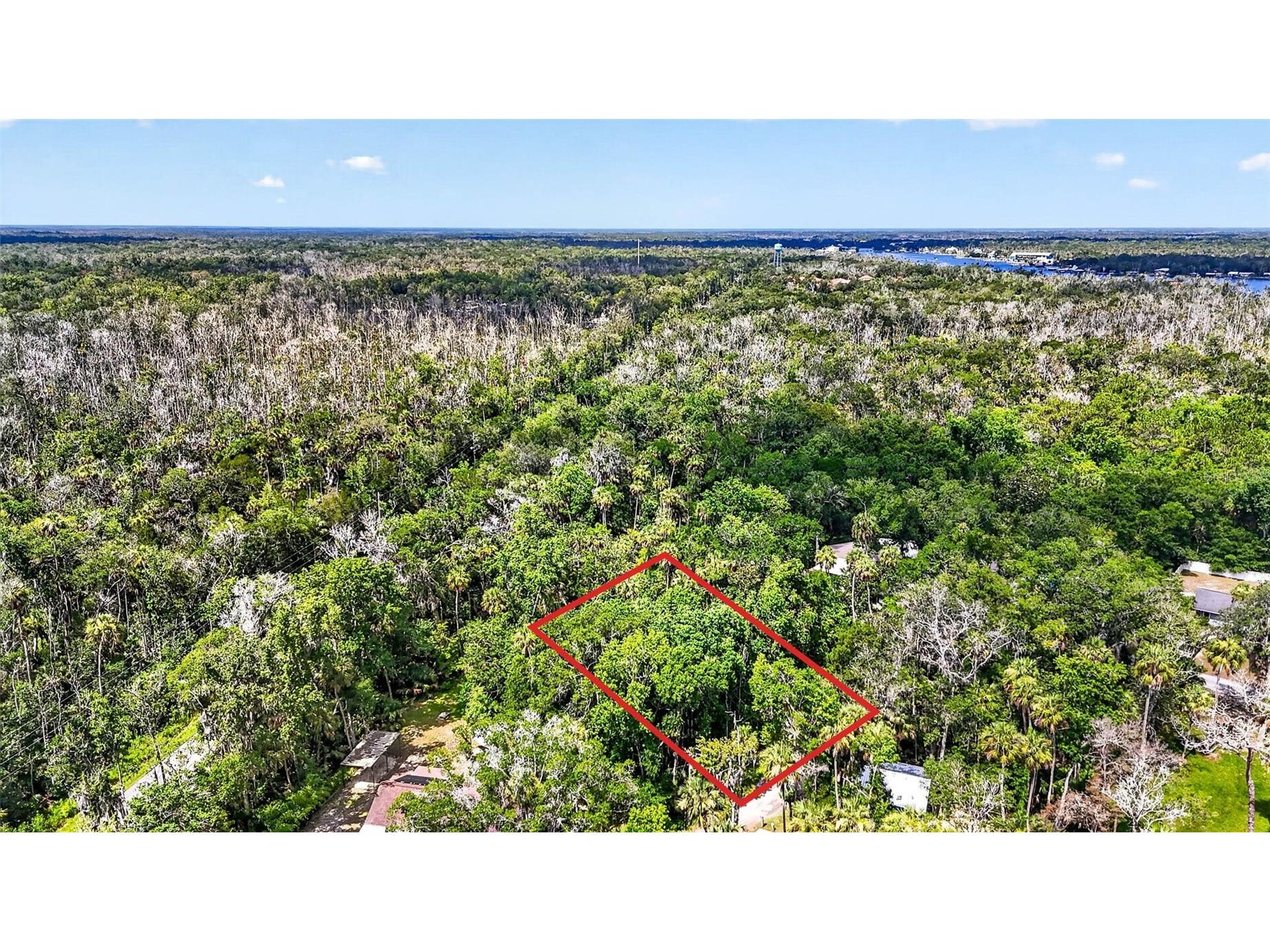 4626 S Flambeau Loop Homosassa FL 34448 OM727352 image1