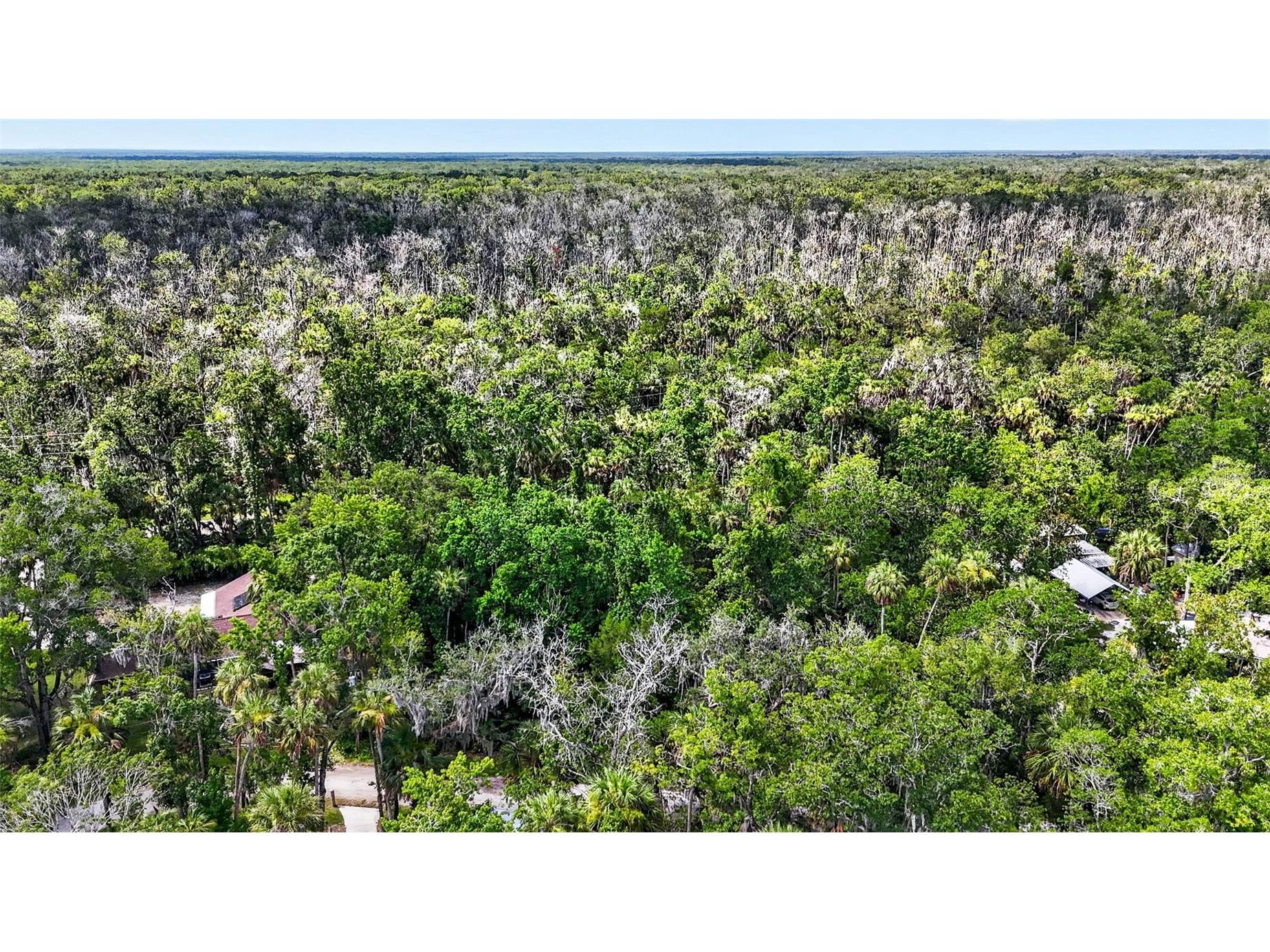 4626 S Flambeau Loop Homosassa FL 34448 OM727352 image10
