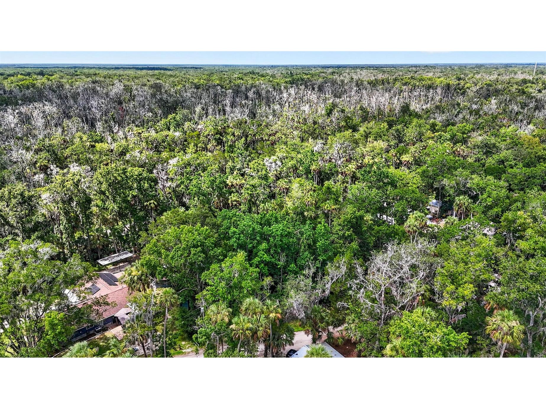 4626 S Flambeau Loop Homosassa FL 34448 OM727352 image11