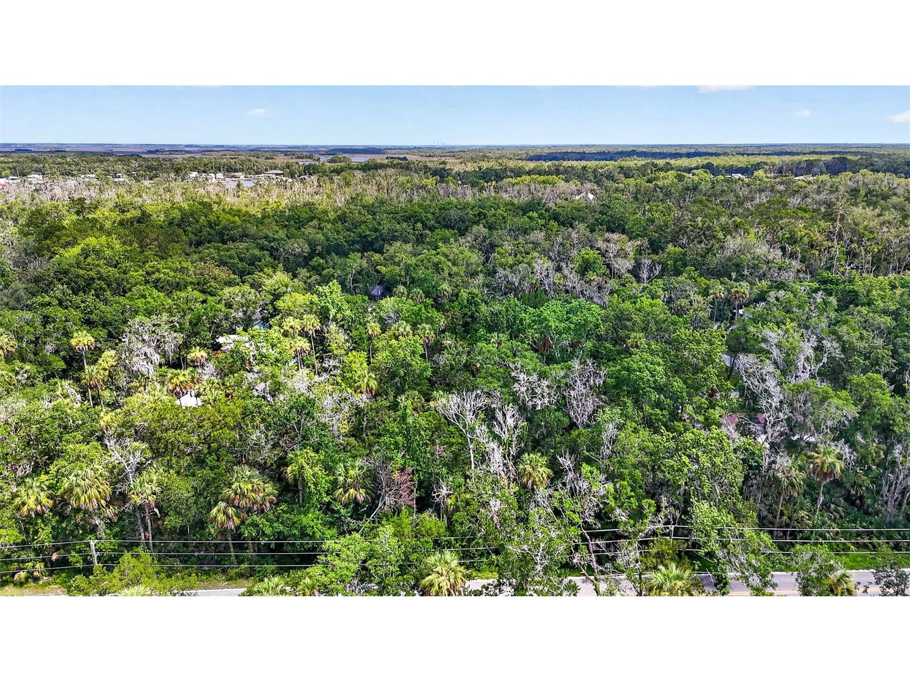 4626 S Flambeau Loop Homosassa FL 34448 OM727352 image13