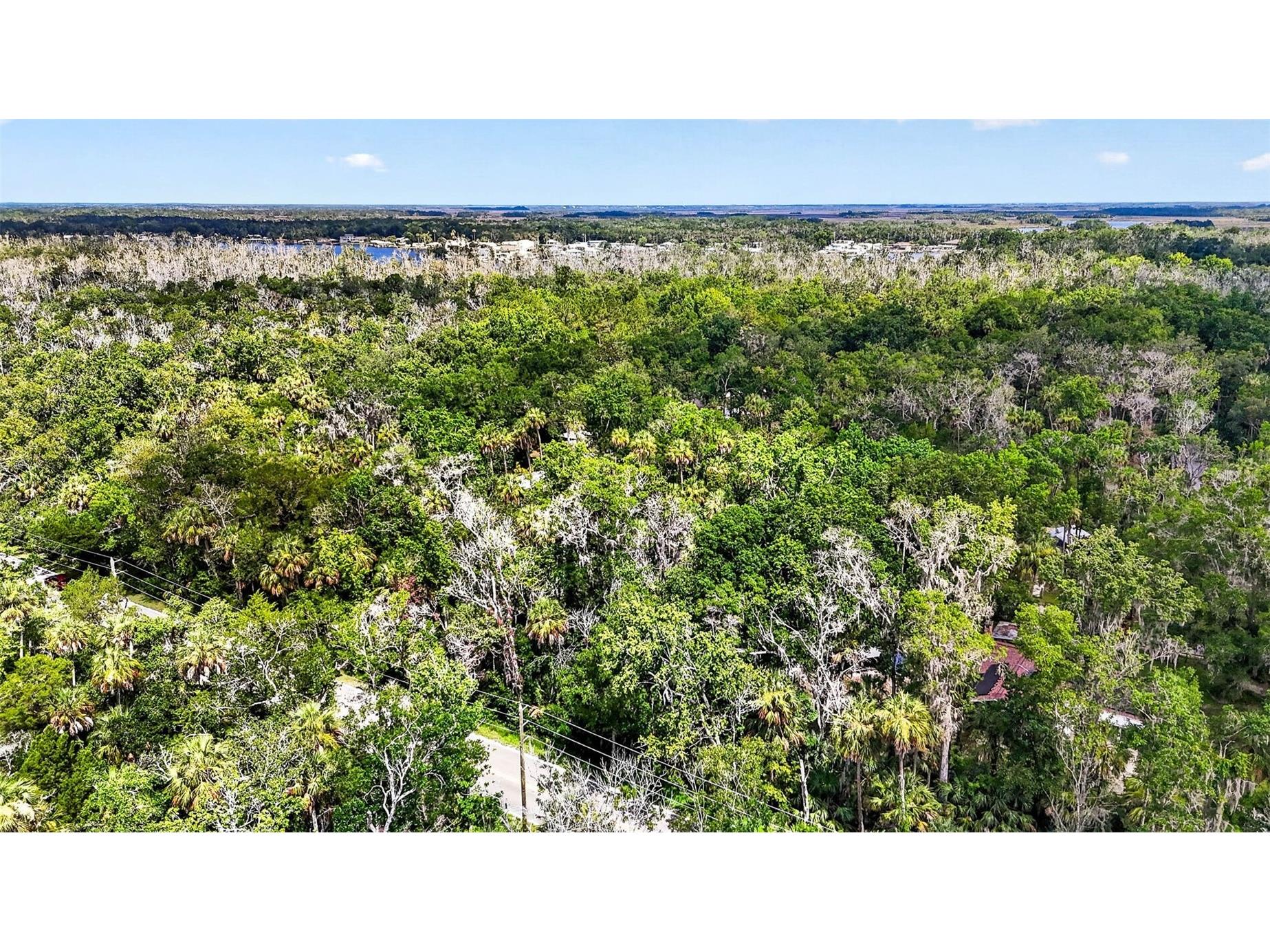 4626 S Flambeau Loop Homosassa FL 34448 OM727352 image14