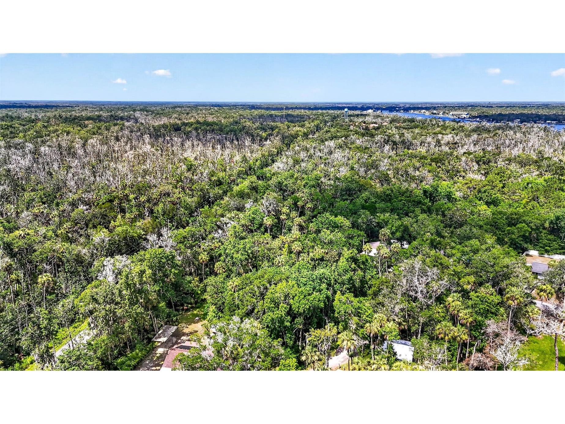 4626 S Flambeau Loop Homosassa FL 34448 OM727352 image17
