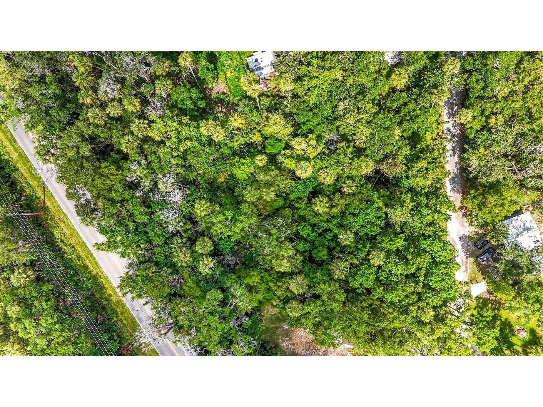 4626 S Flambeau Loop Homosassa FL 34448 OM727352 image18