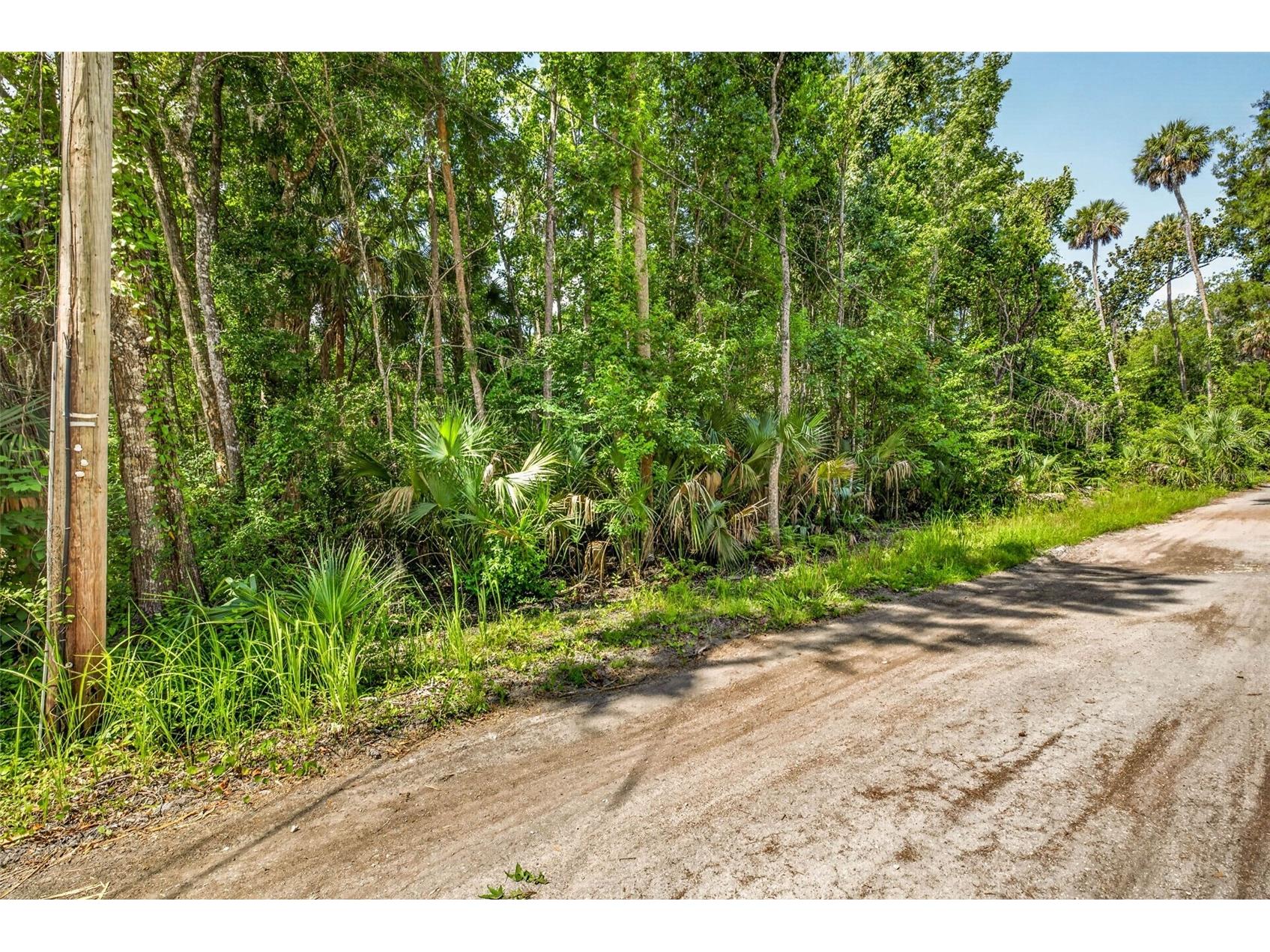 4626 S Flambeau Loop Homosassa FL 34448 OM727352 image2