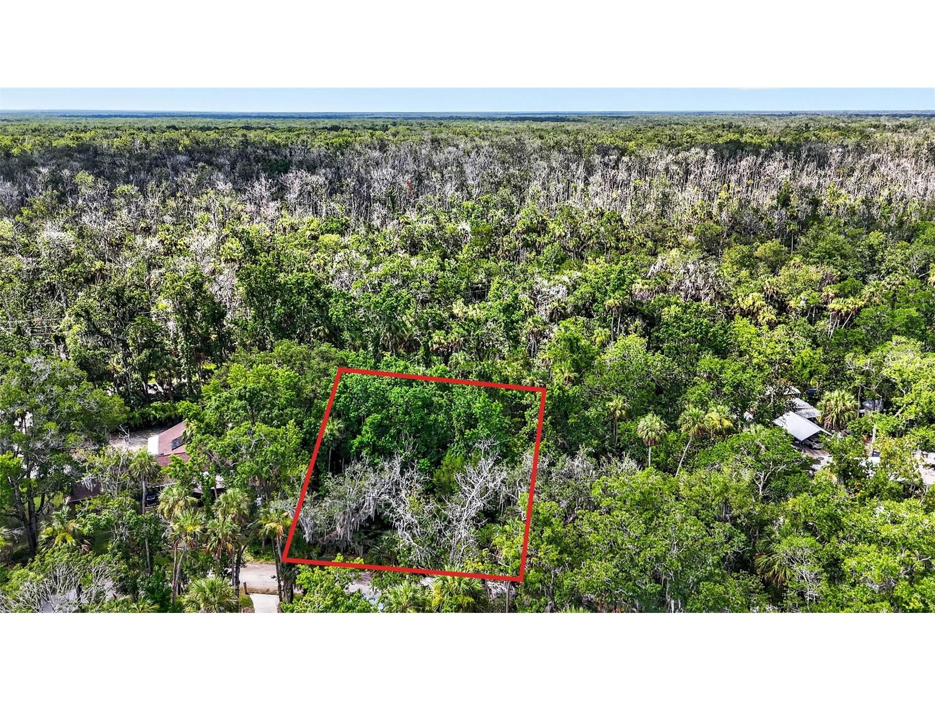 4626 S Flambeau Loop Homosassa FL 34448 OM727352 image4