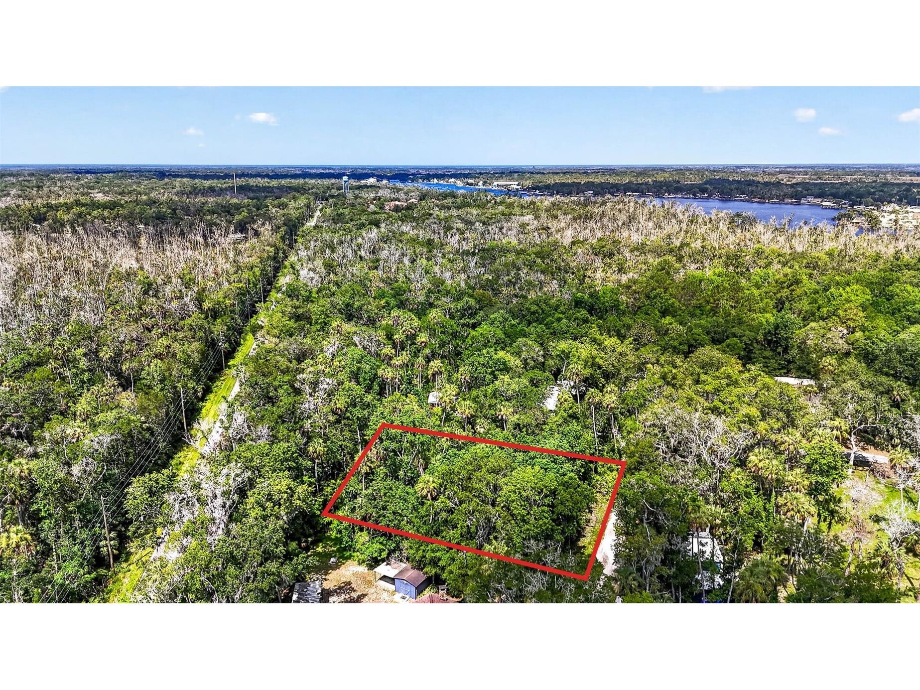 4626 S Flambeau Loop Homosassa FL 34448 OM727352 image5