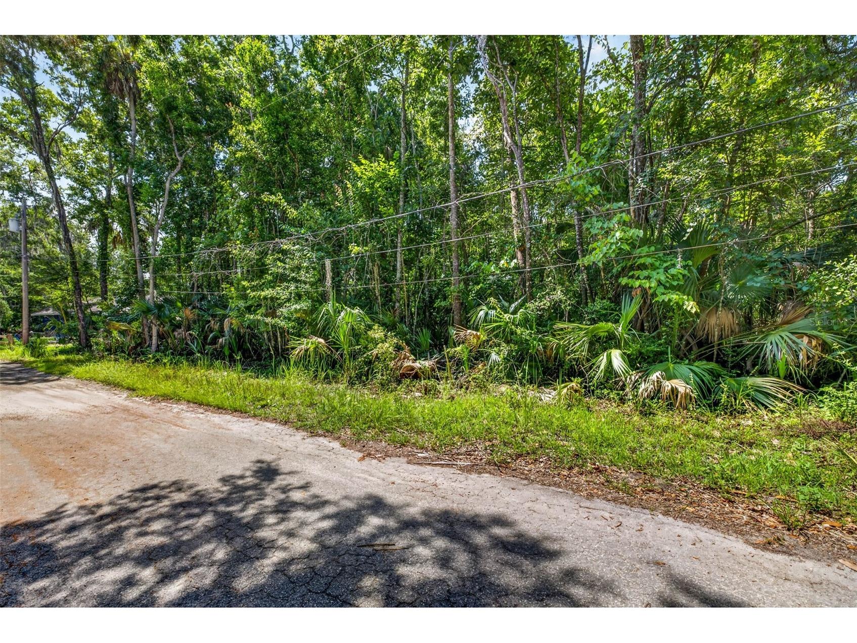 4626 S Flambeau Loop Homosassa FL 34448 OM727352 image6