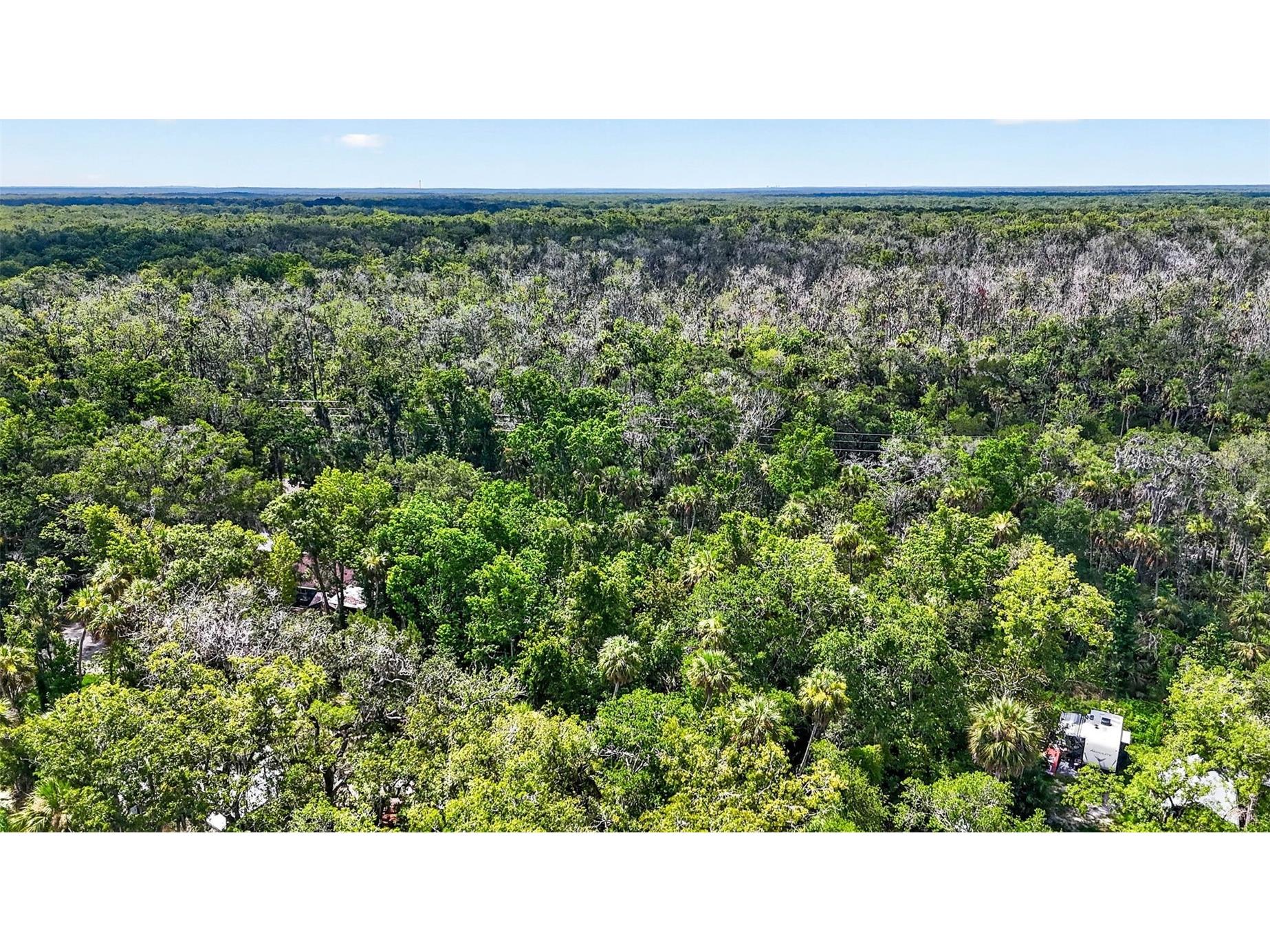 4626 S Flambeau Loop Homosassa FL 34448 OM727352 image9