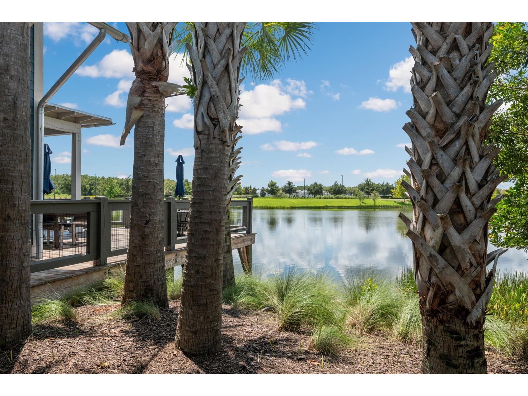 4626 Tour Trace Land O Lakes FL 34638 TB8476716 image41