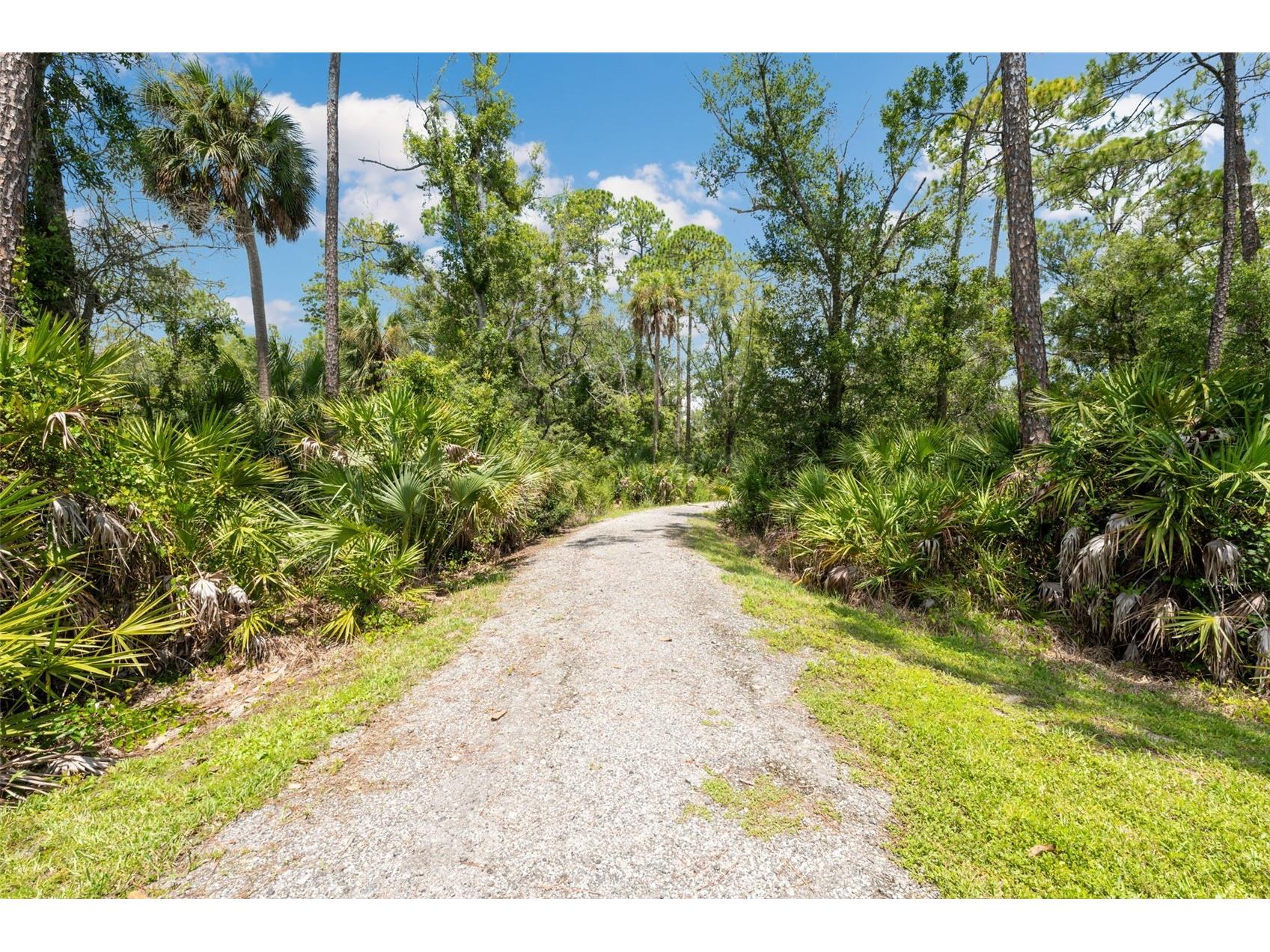 4626 Tour Trace Land O Lakes FL 34638 TB8476716 image66