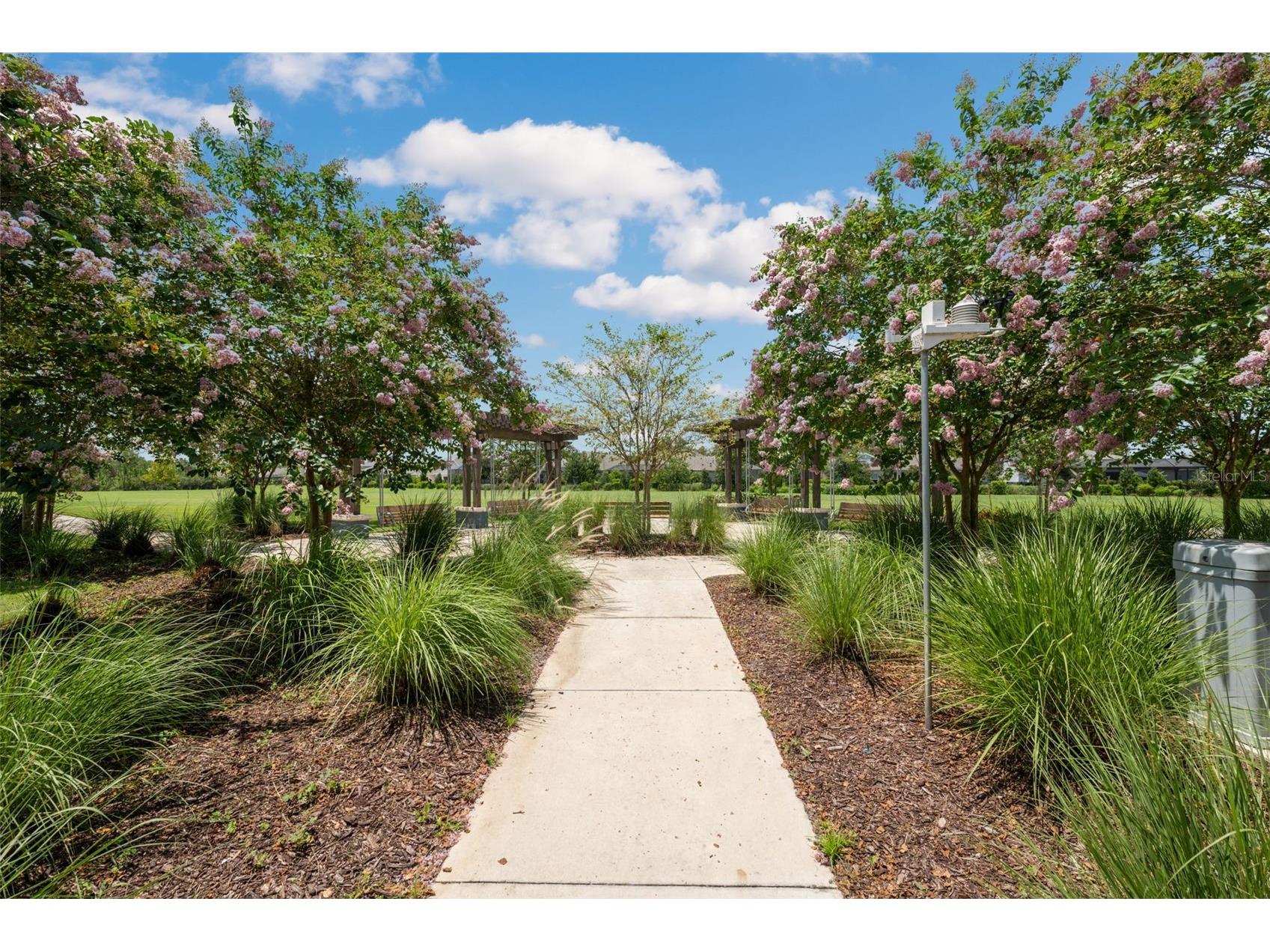 4626 Tour Trace Land O Lakes FL 34638 TB8476716 image67