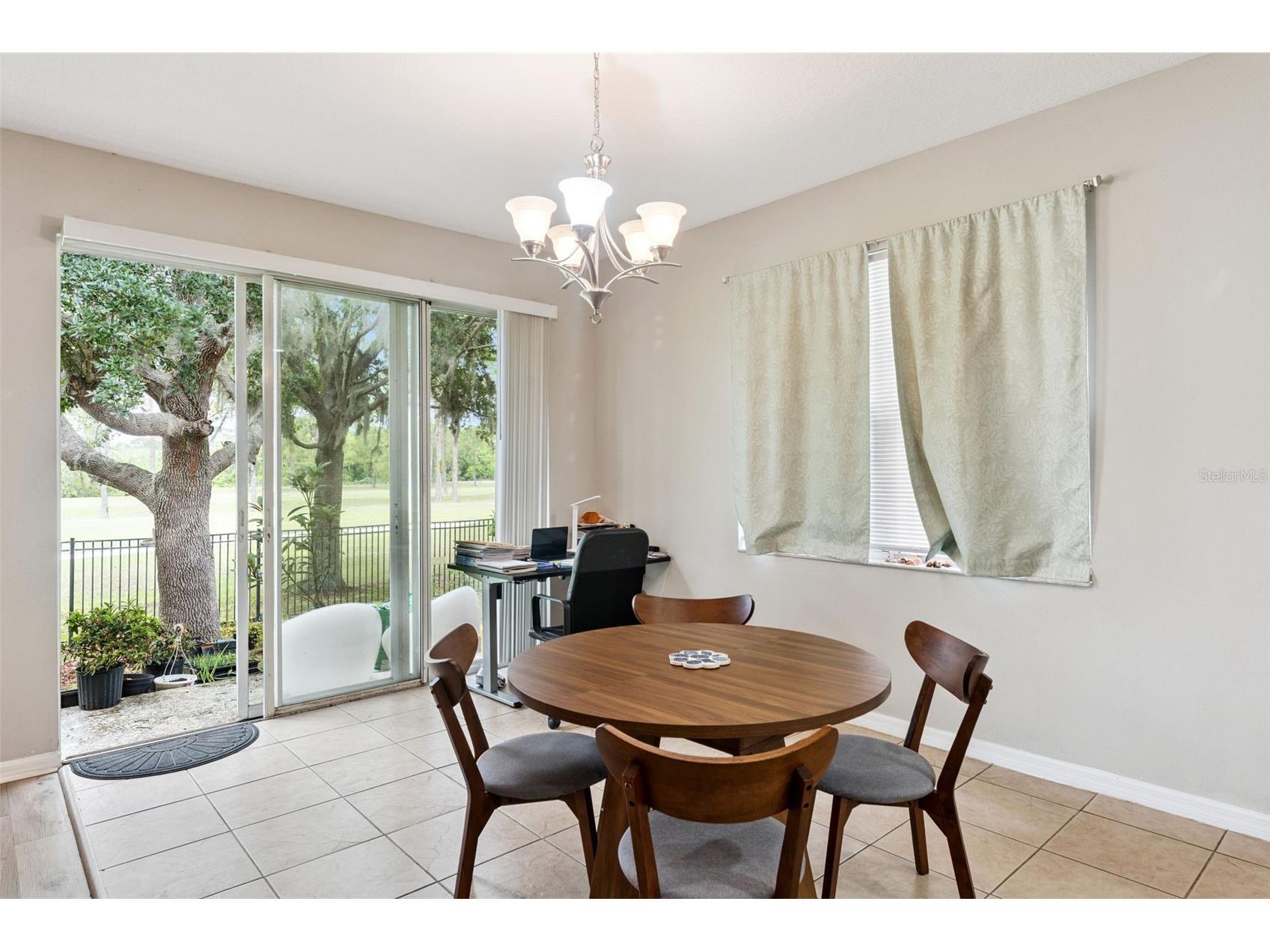 4627 Blue Major Drive Windermere FL 34786 O6397778 image11