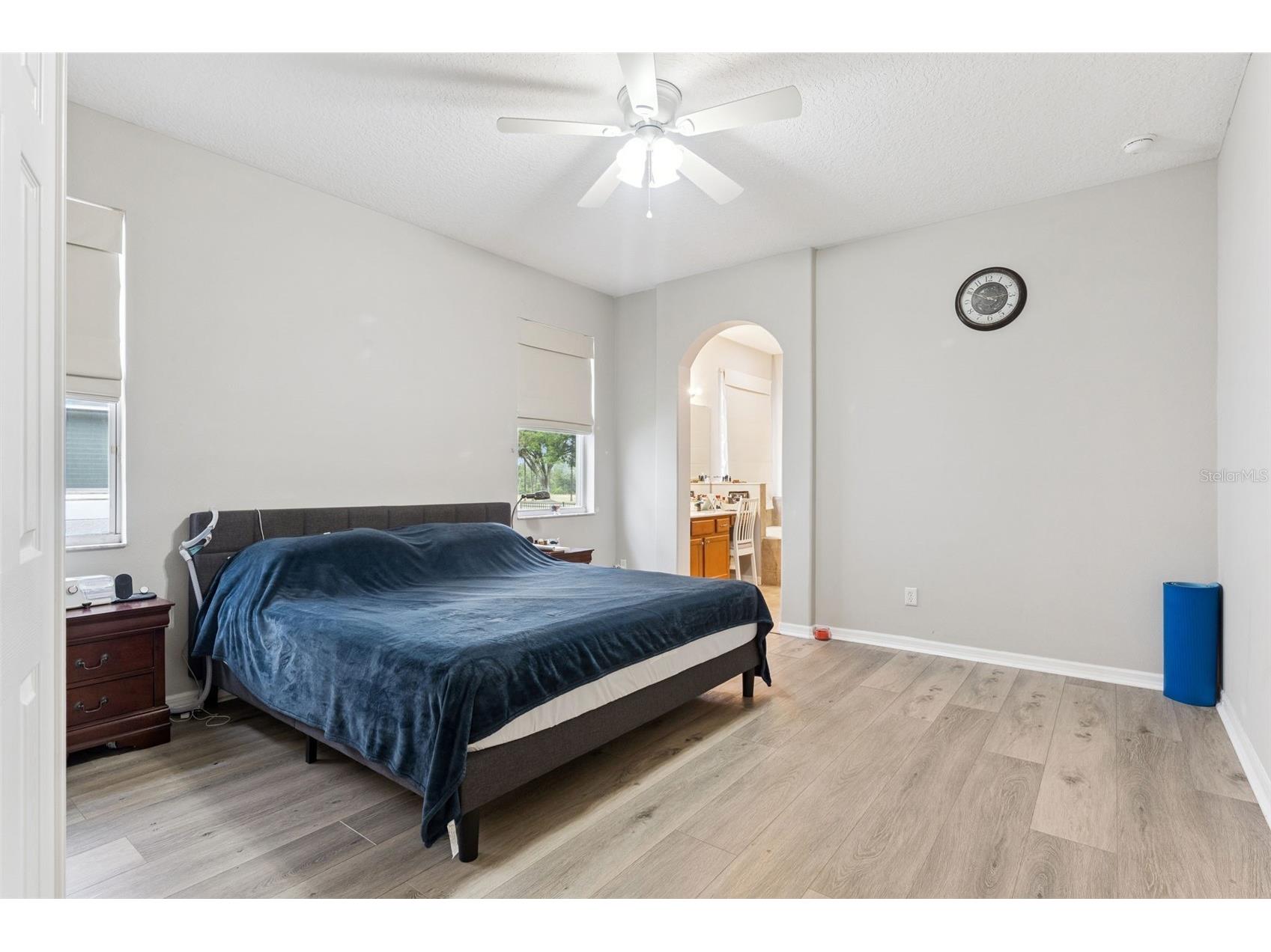 4627 Blue Major Drive Windermere FL 34786 O6397778 image19