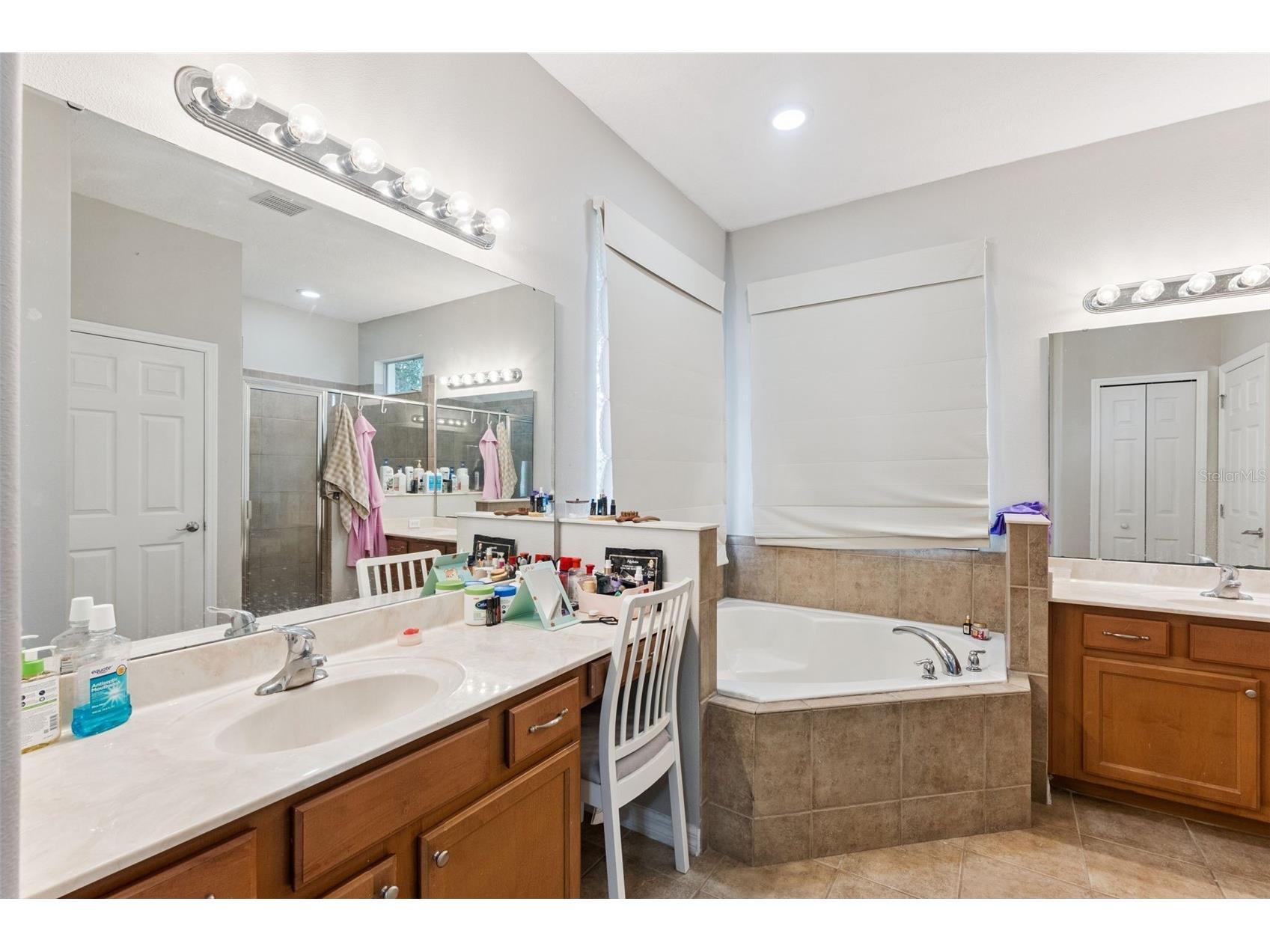4627 Blue Major Drive Windermere FL 34786 O6397778 image26