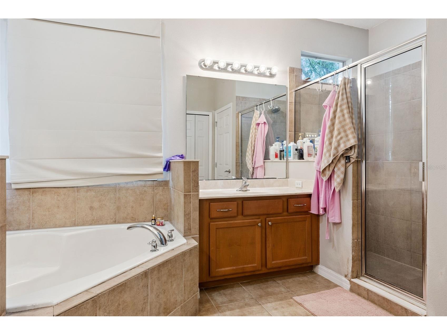 4627 Blue Major Drive Windermere FL 34786 O6397778 image27