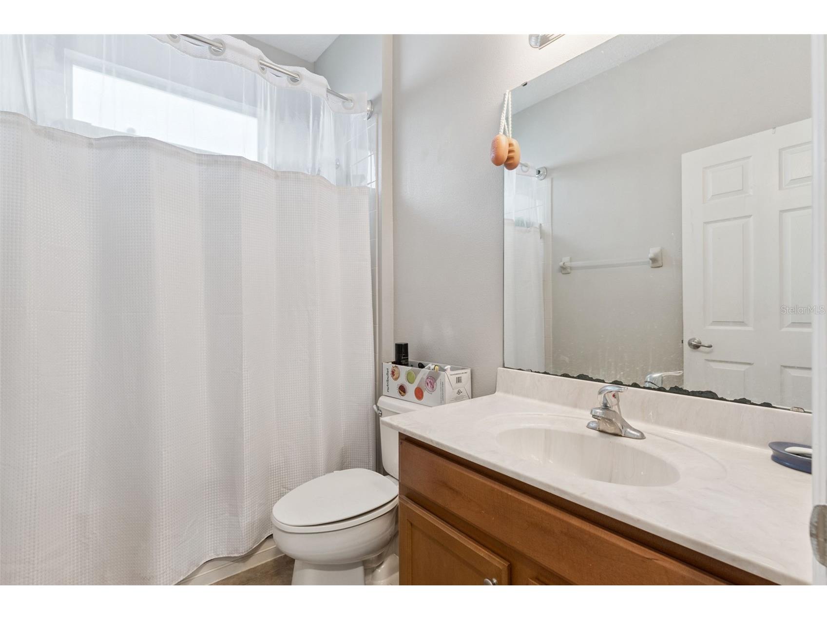 4627 Blue Major Drive Windermere FL 34786 O6397778 image29