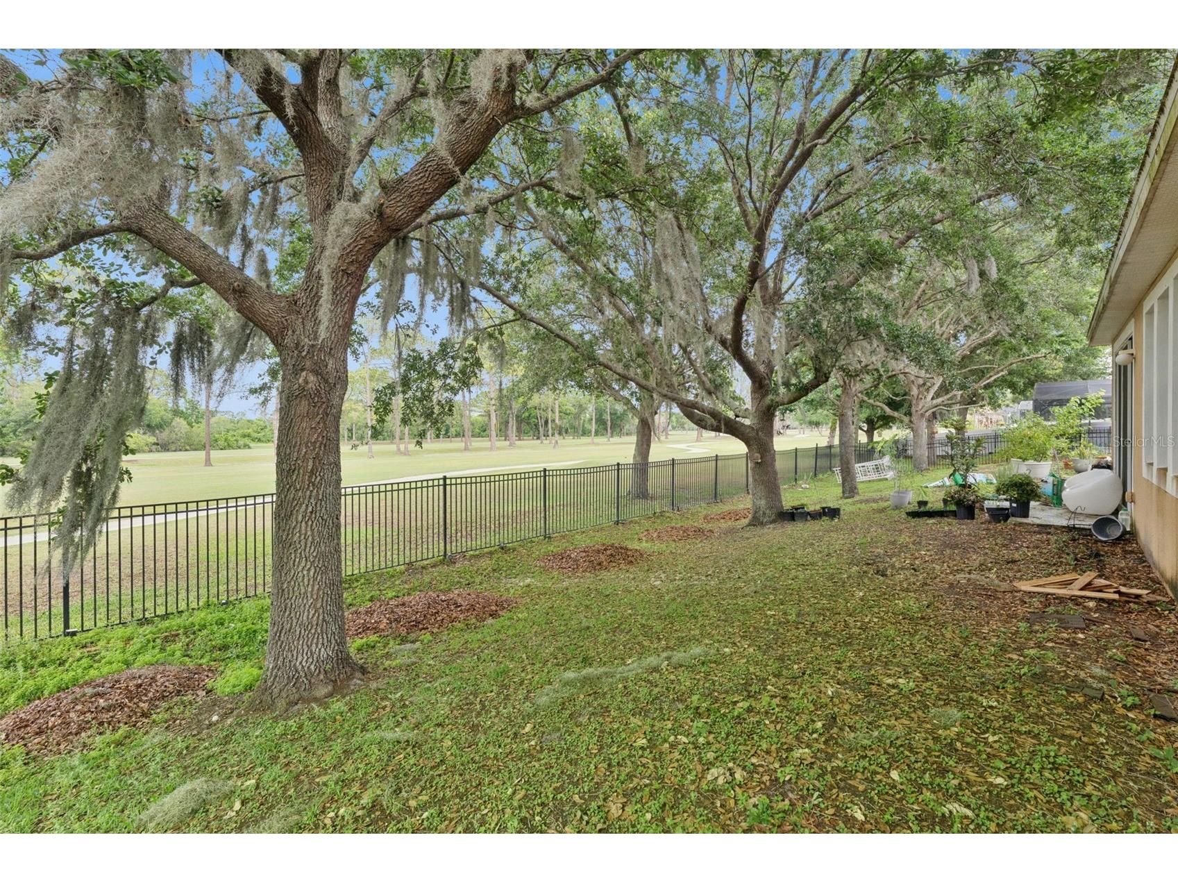 4627 Blue Major Drive Windermere FL 34786 O6397778 image33