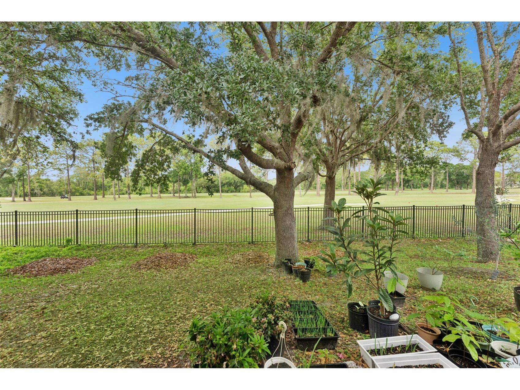 4627 Blue Major Drive Windermere FL 34786 O6397778 image34