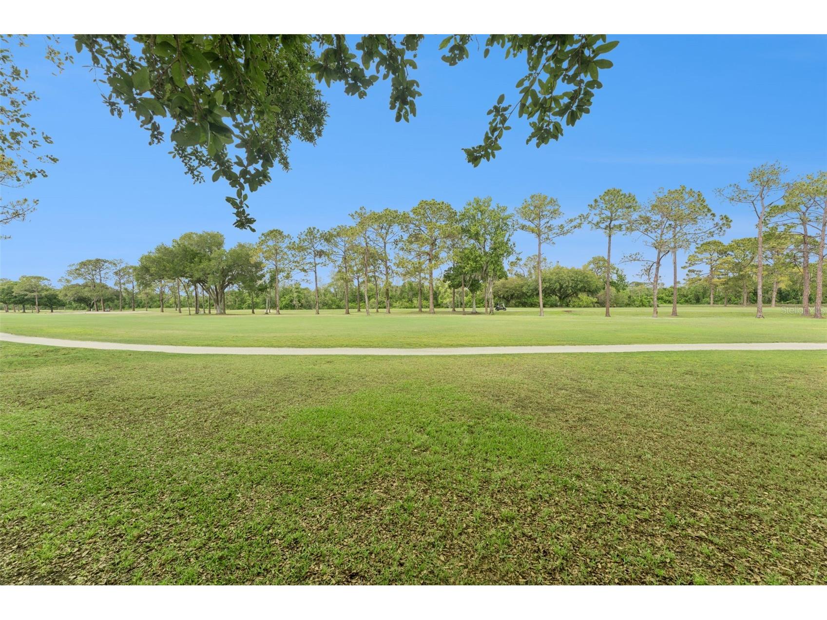 4627 Blue Major Drive Windermere FL 34786 O6397778 image35